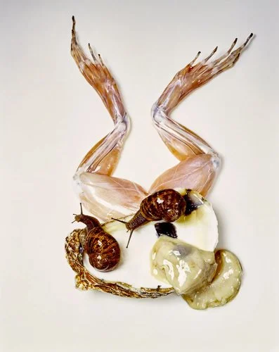 irvingpenn-10-irving-penn-food.jpg