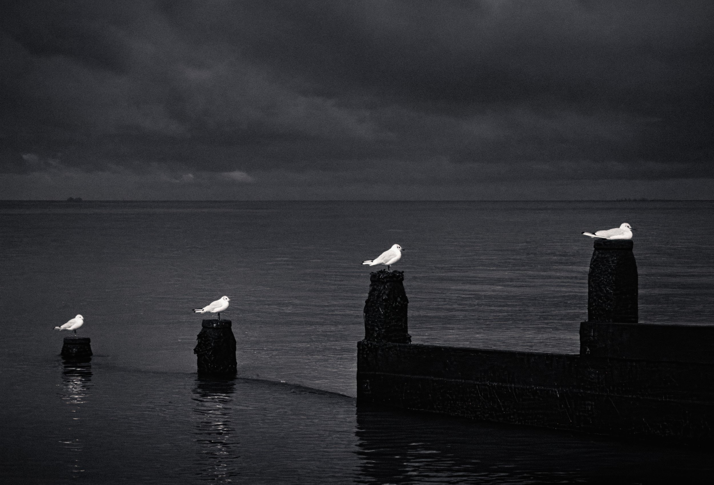 1CB22ADF-FDF5-4B93-A3BF-906AC6324B14-Edit.jpg