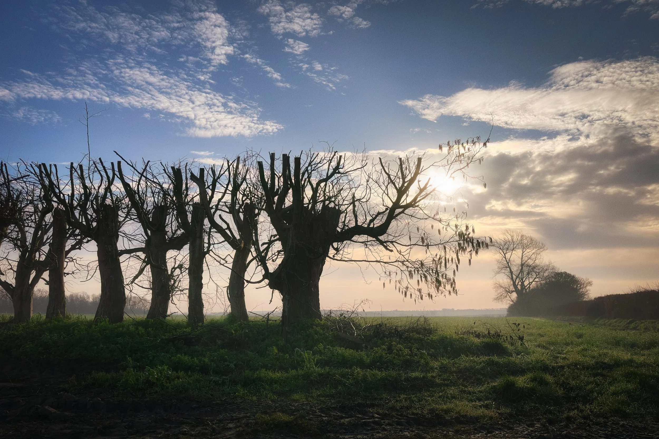 IMG_3325-Edit-Edit-Edit.jpg