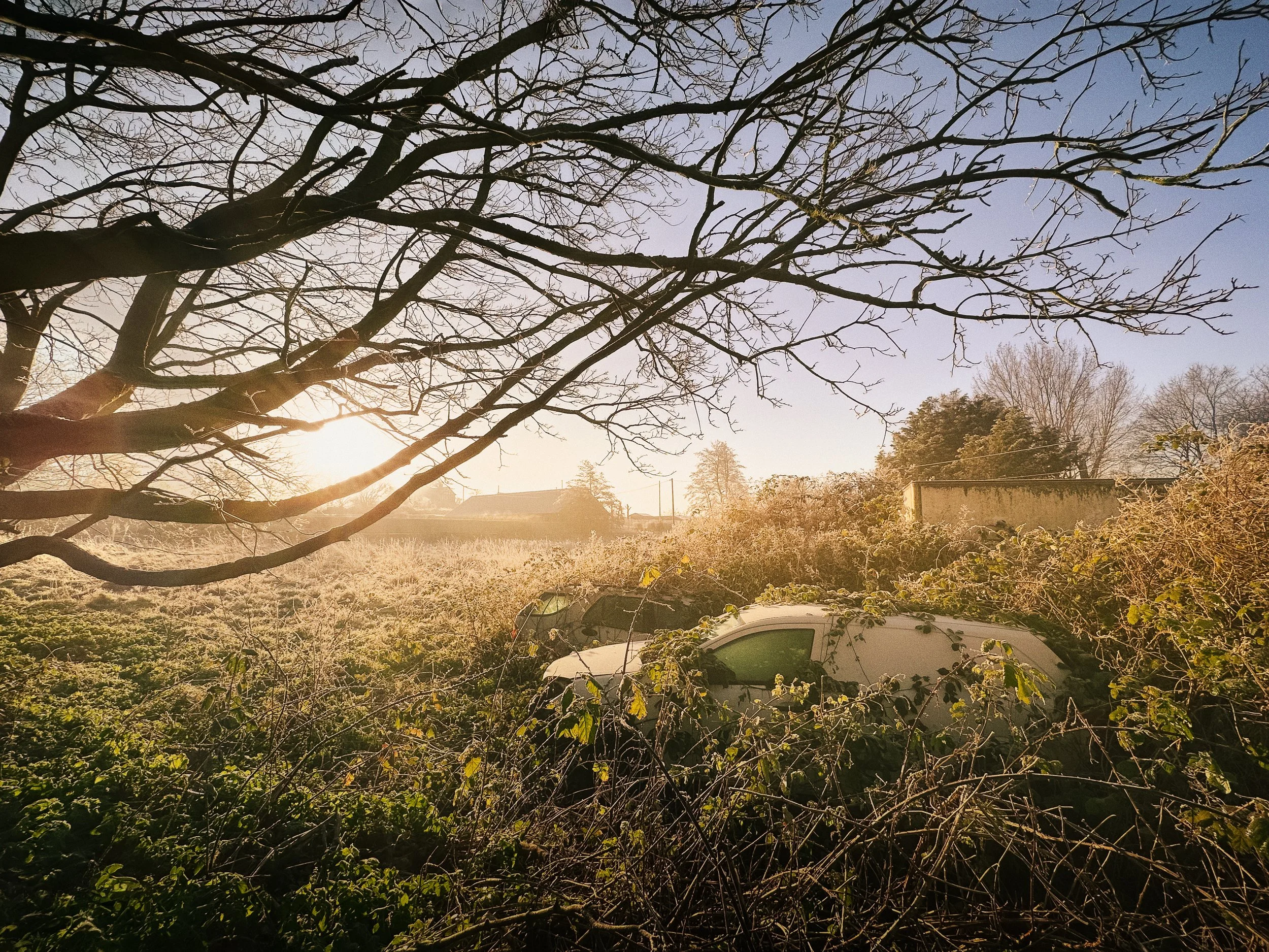 IMG_4982-Edit-Edit-2-Edit.jpg