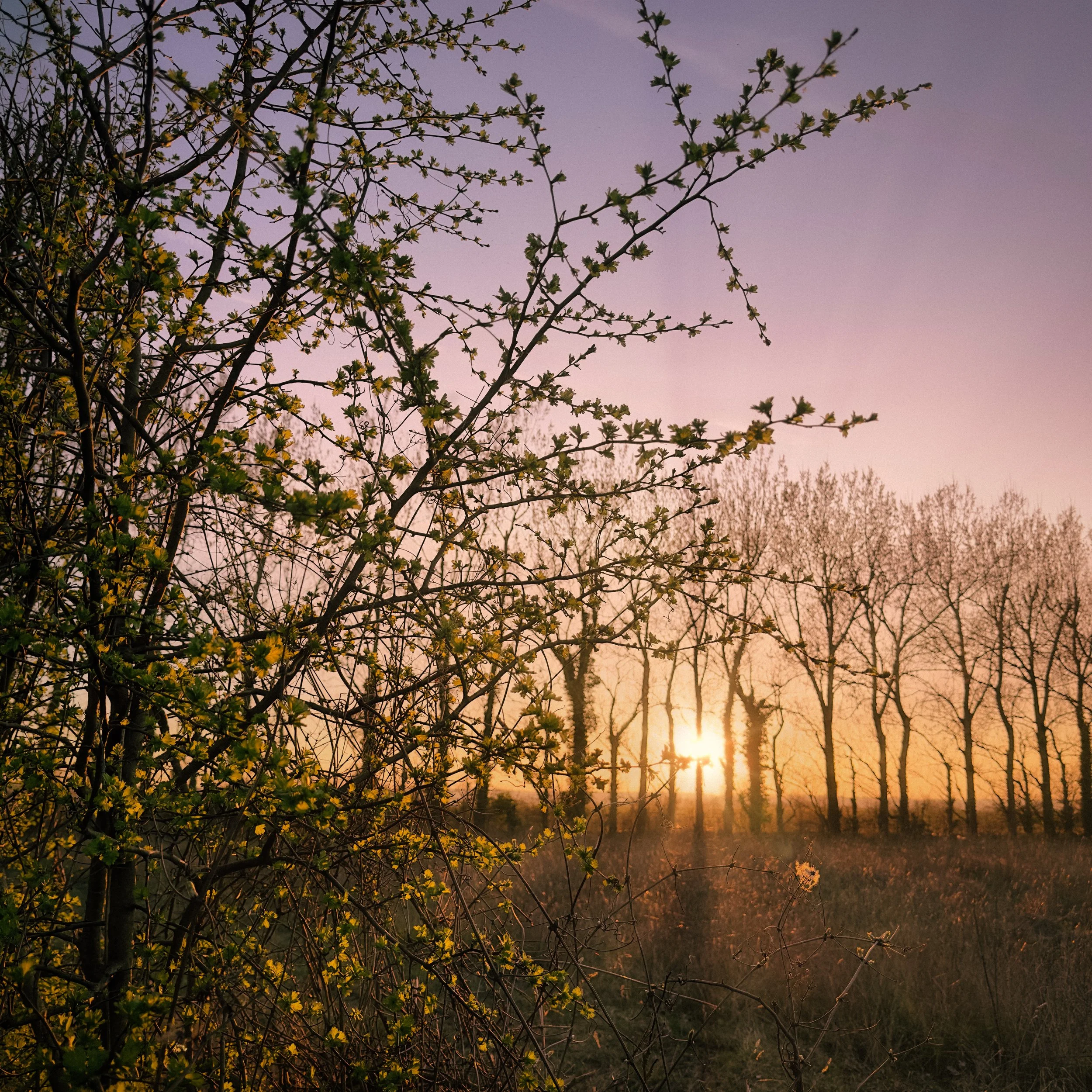 IMG_6774-Edit-Edit.jpg