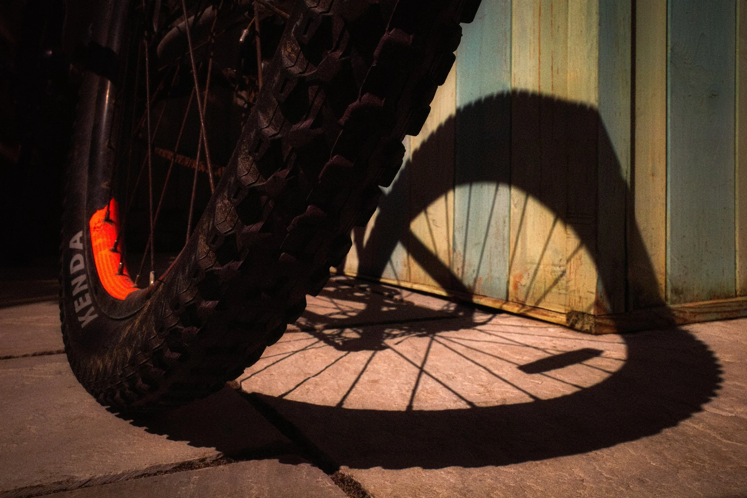 Phoenix Shadows