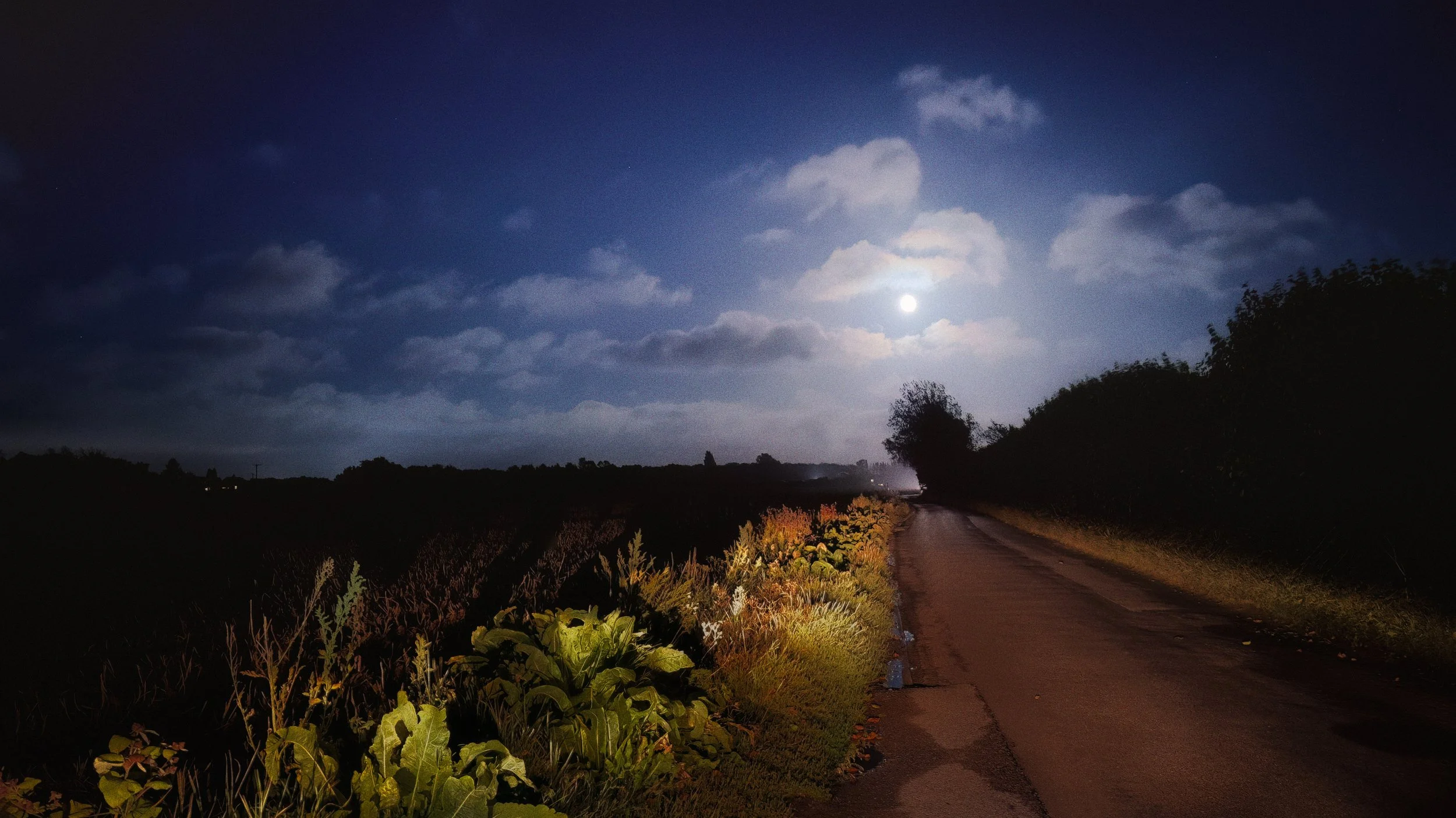 Nash Road Moonlight