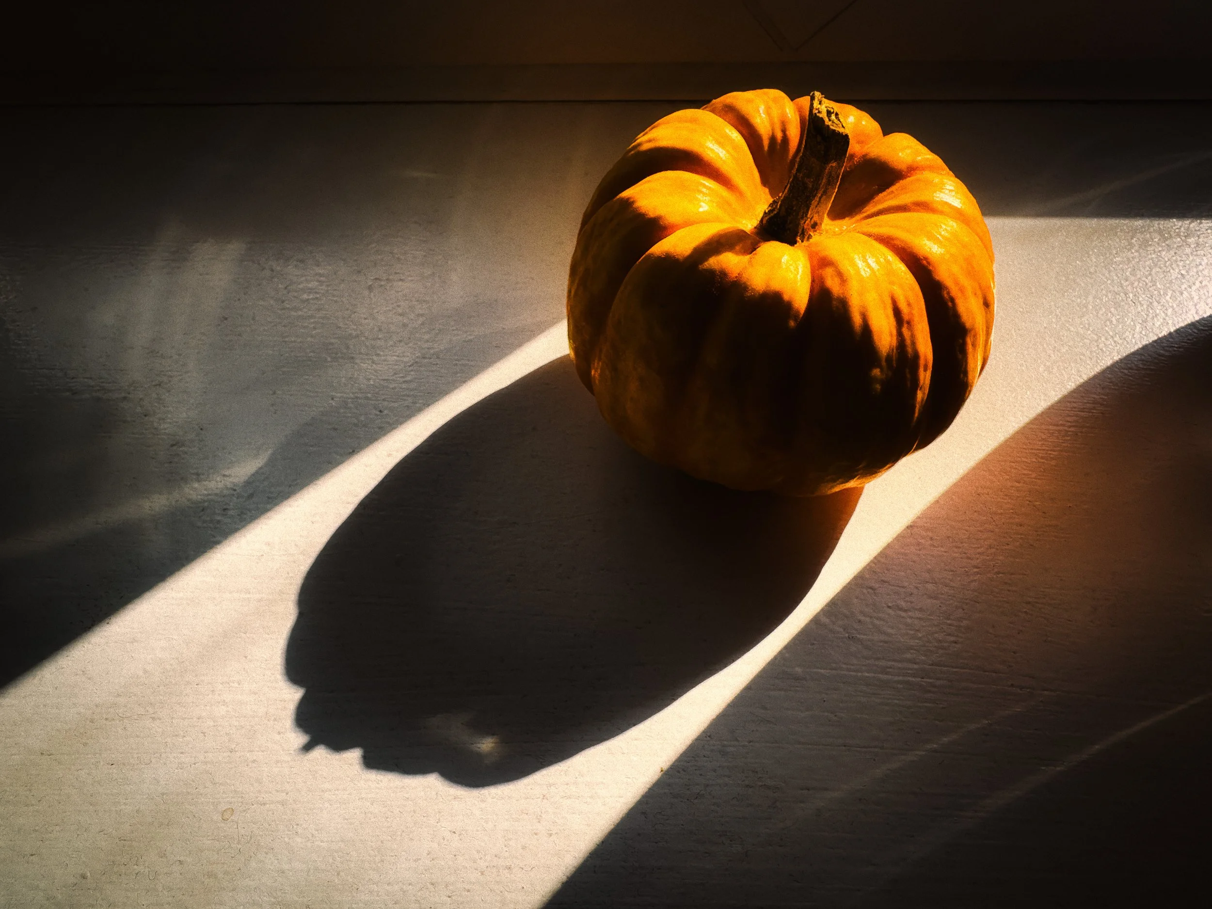 Pumpkin Sunbeam