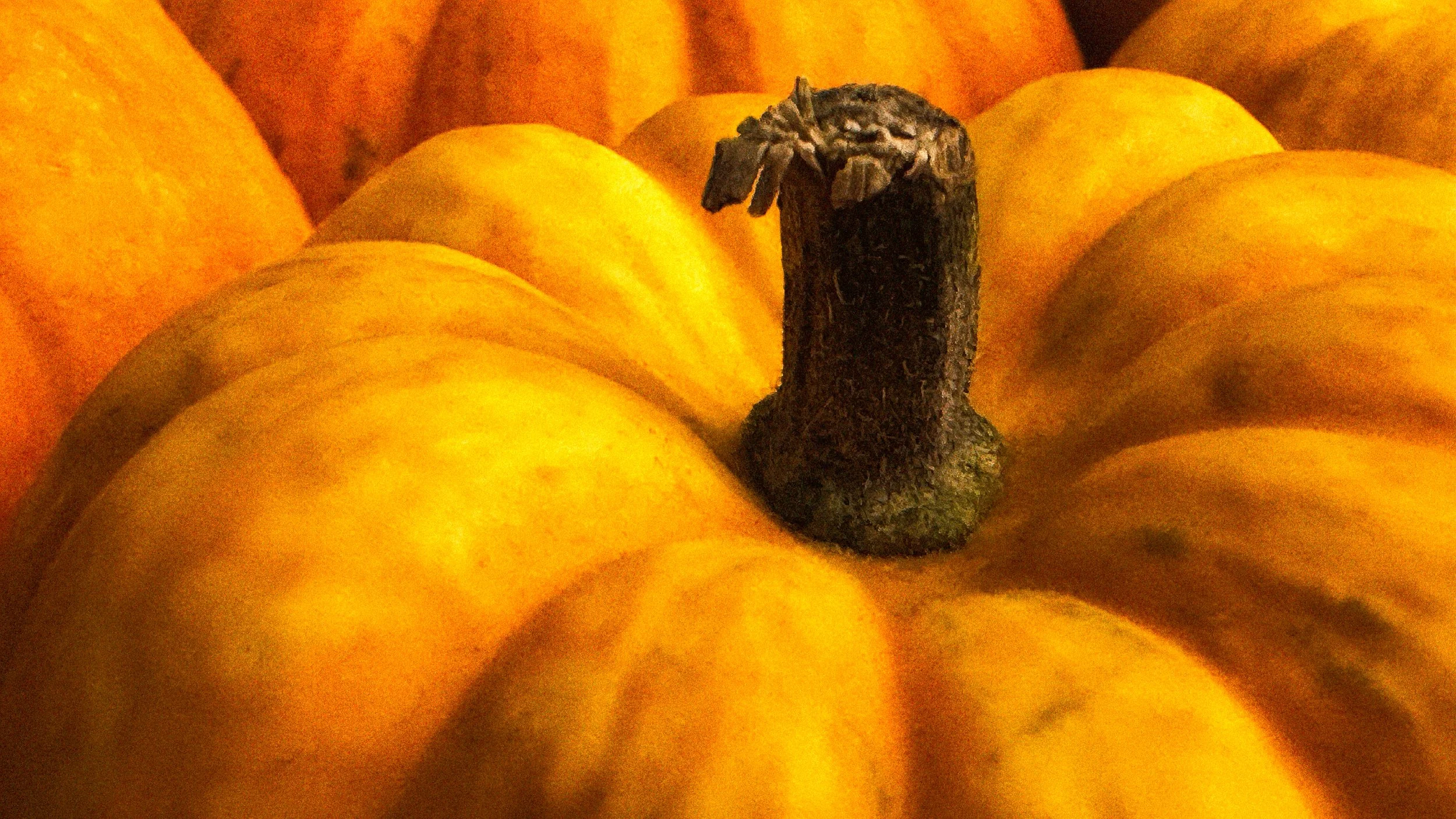 Halloween’s Approach