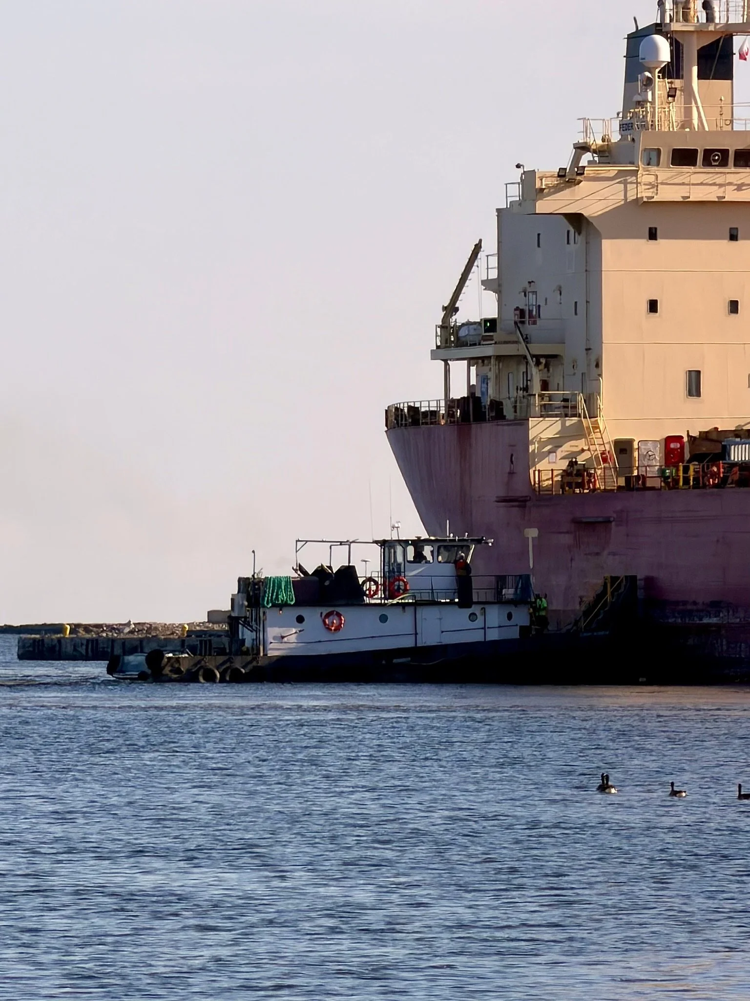 tugboat Seaway Jennifer ship assist at port of Oswego
