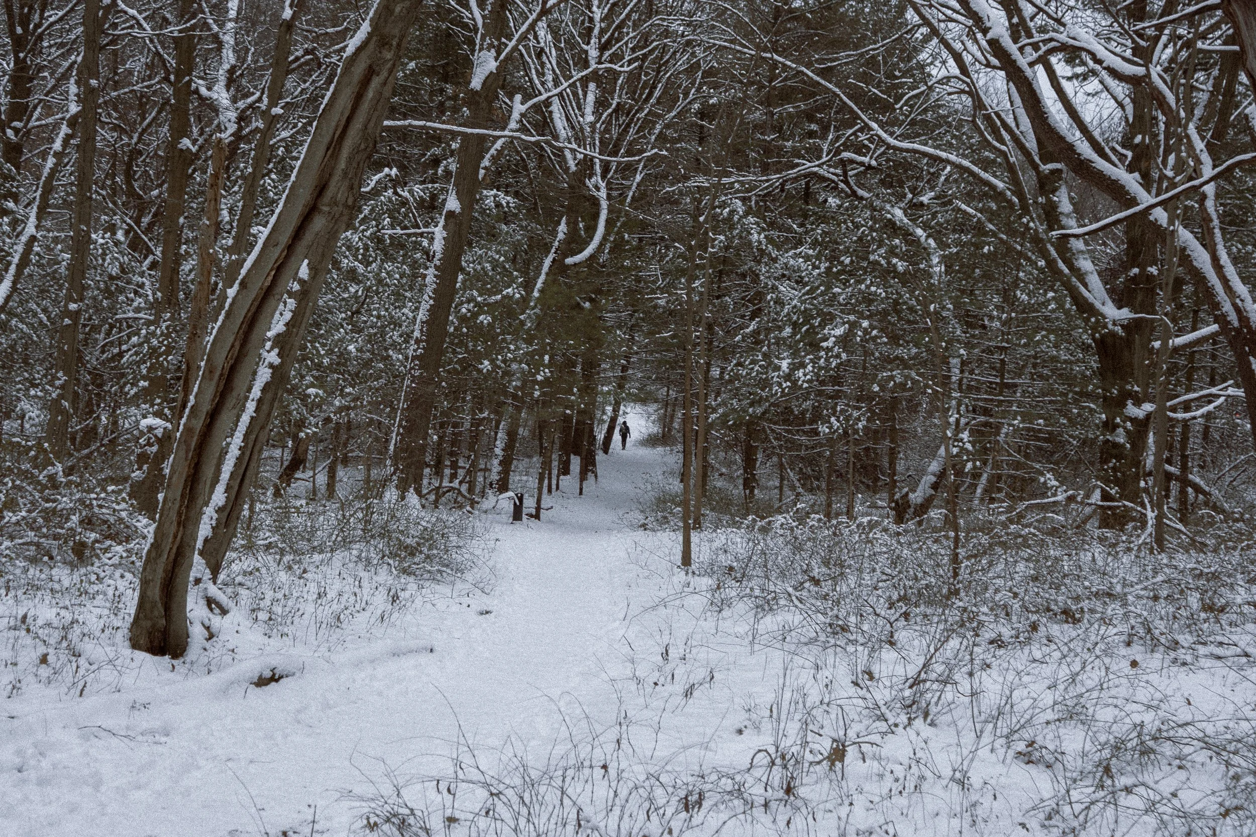 Northeast State Parks