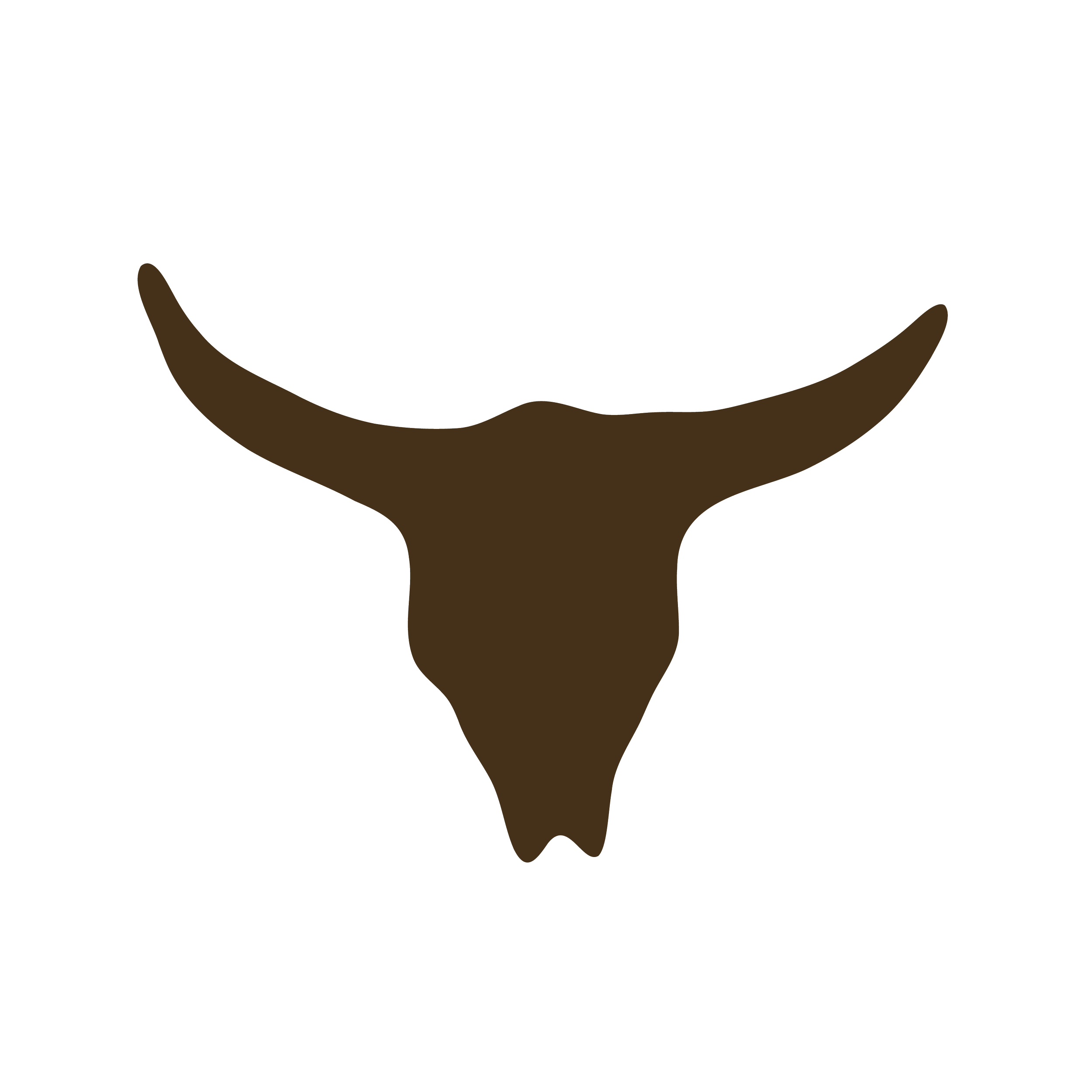 Outline of a brown steer skull with long, curved horns.