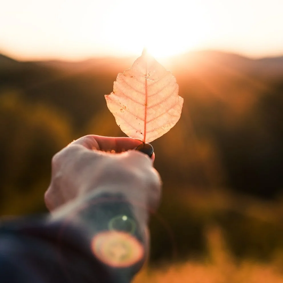 🌻🌿On this Indigenous Peoples&rsquo; Day, we pause in gratitude and truth.

We acknowledge that Mars Hill stands on the ancestral and living homelands of the Cherokee people, including the Eastern Band of Cherokee Indians. These mountains, valleys a