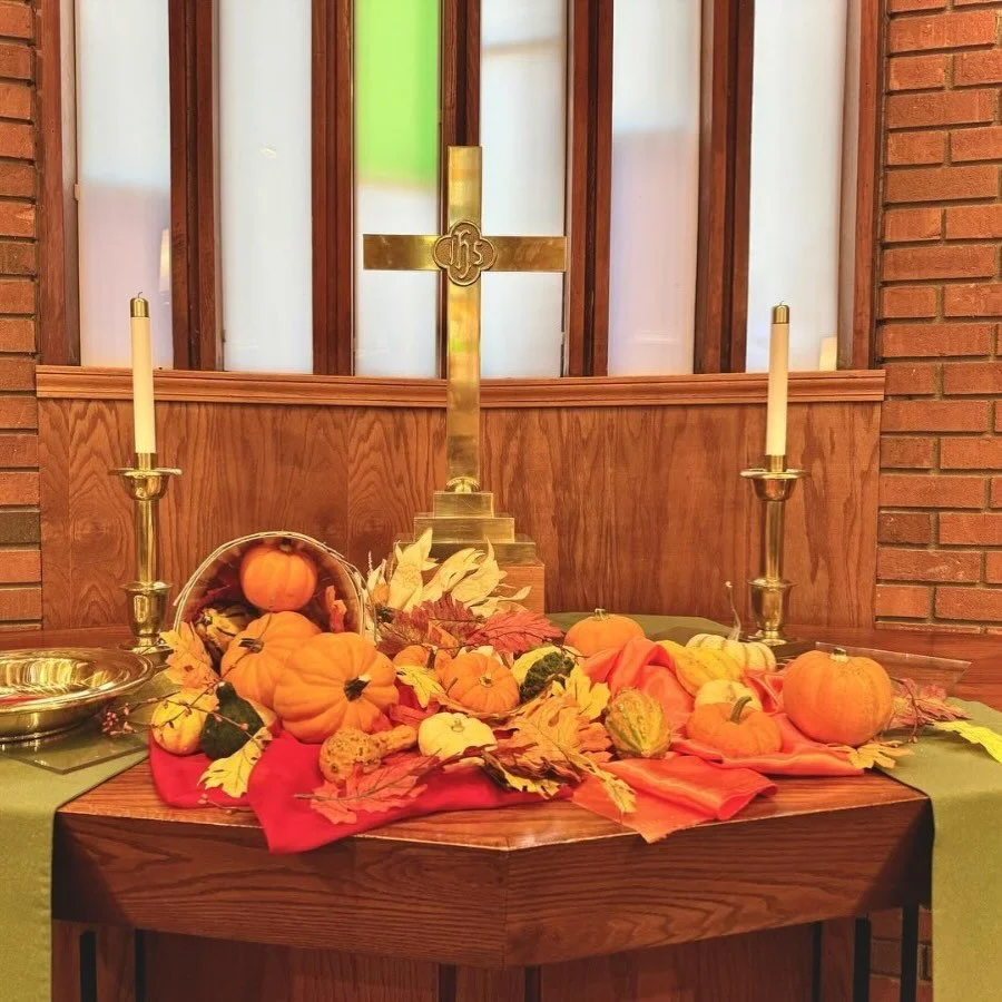 As we approach Thanksgiving, Christ the King Sunday reminds us of the kind of reign Jesus embodies: not domination, but mercy; not borders that divide, but a kin-dom that gathers the vulnerable close. In Matthew 25, Jesus shows us that his power is r