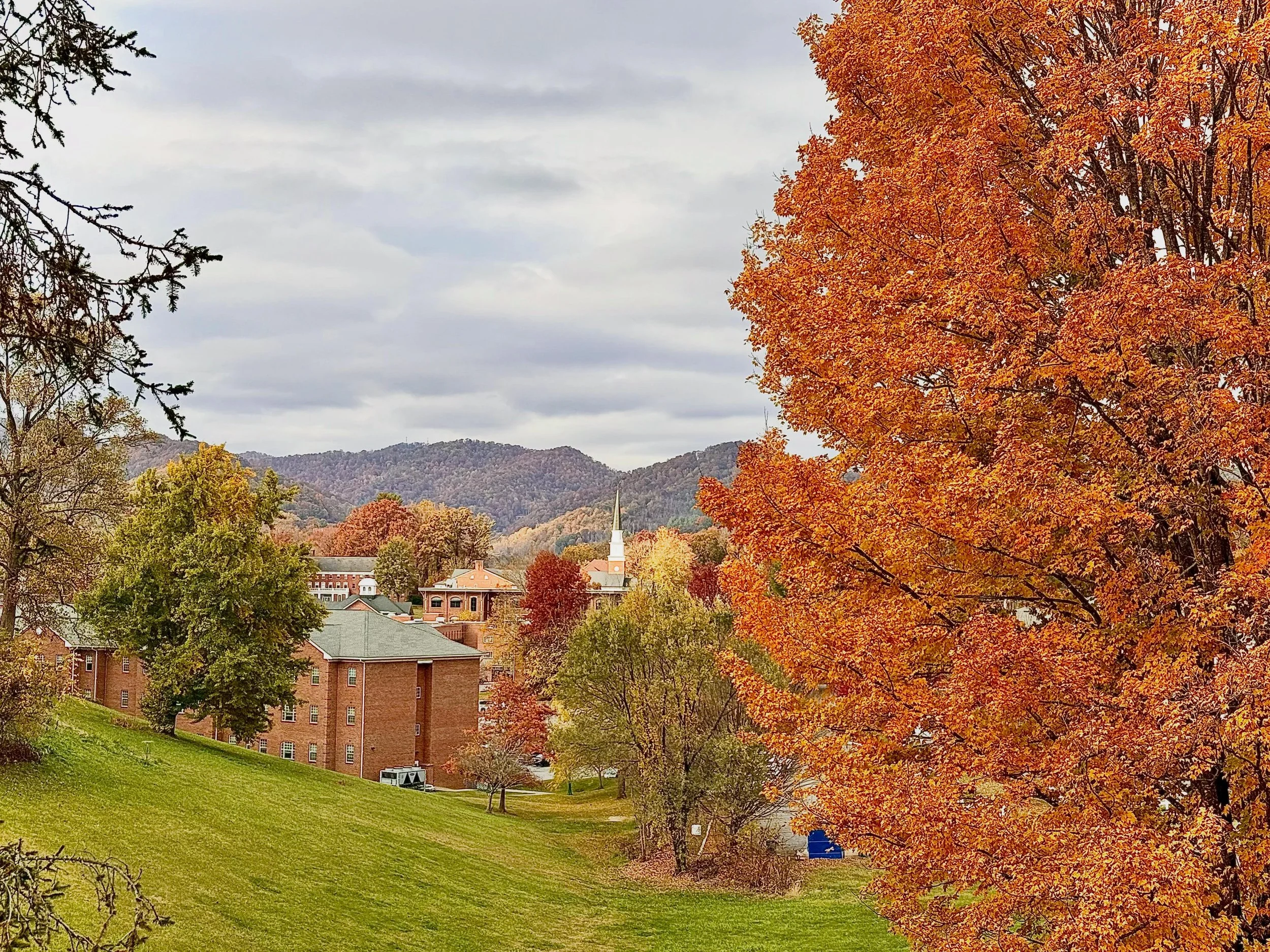 Today, we acknowledge that our community stands on the ancestral and living homelands of the Cherokee people, including the Eastern Band of Cherokee Indians. These mountains, rivers and valleys have long been places of life, story, and spirit for man