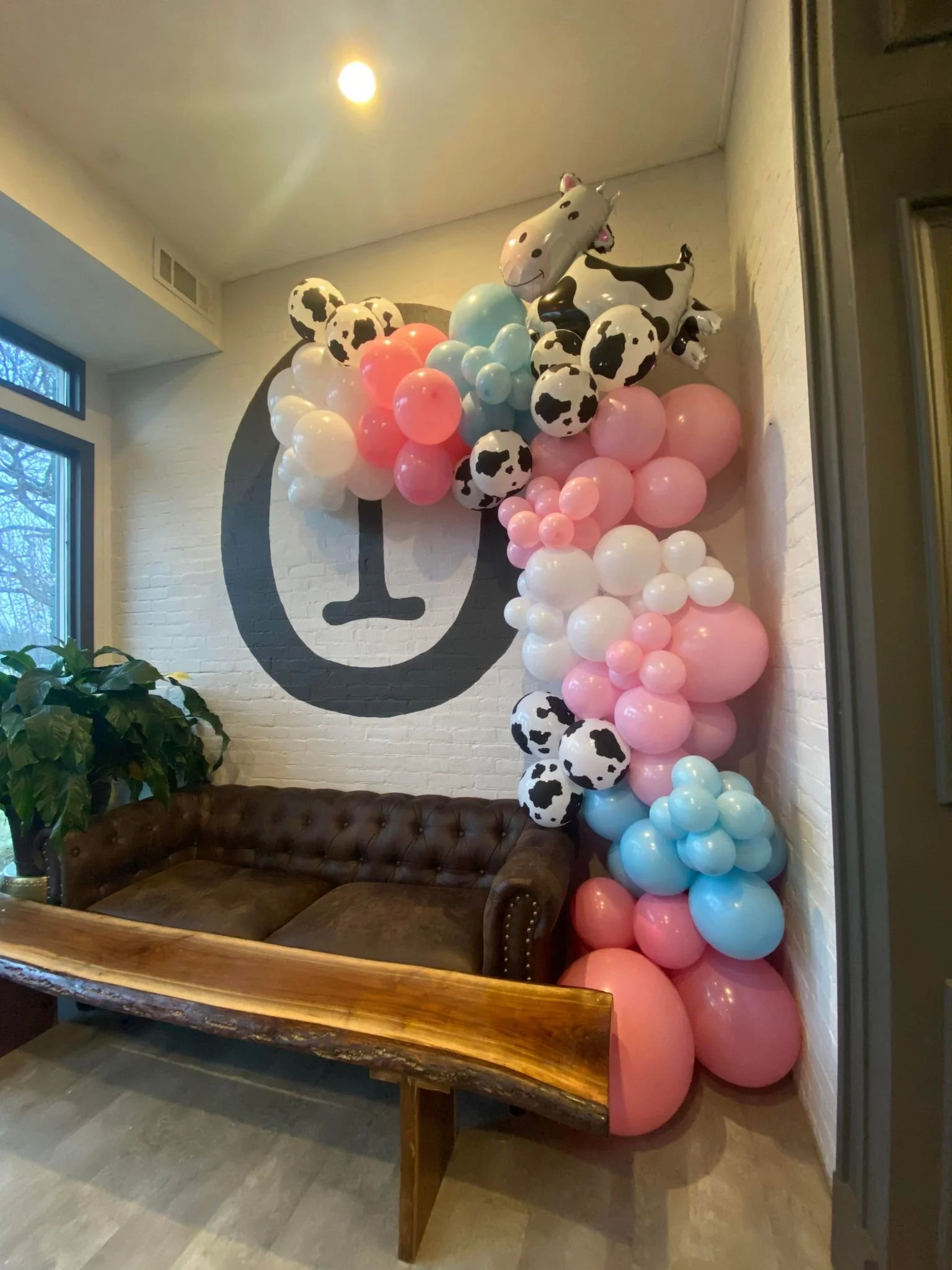 cow 2.jpg