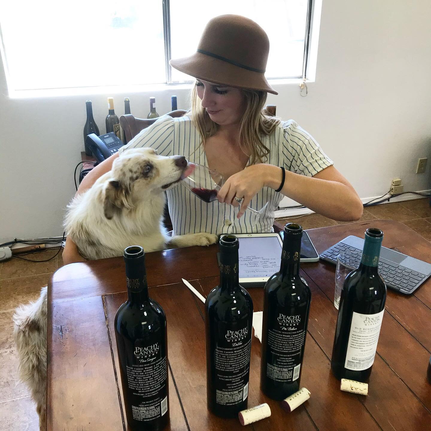 People always ask us who writes our tasting notes&hellip;and now you know! Thanks Tule for your input 🍷🐶
-
-
-
-
#peachycanyonwinery #peachycanyonwines #fallwineclubrelease #newwines #fallwines #2020vintage #tastingnotes #winetasting #winedogs #win