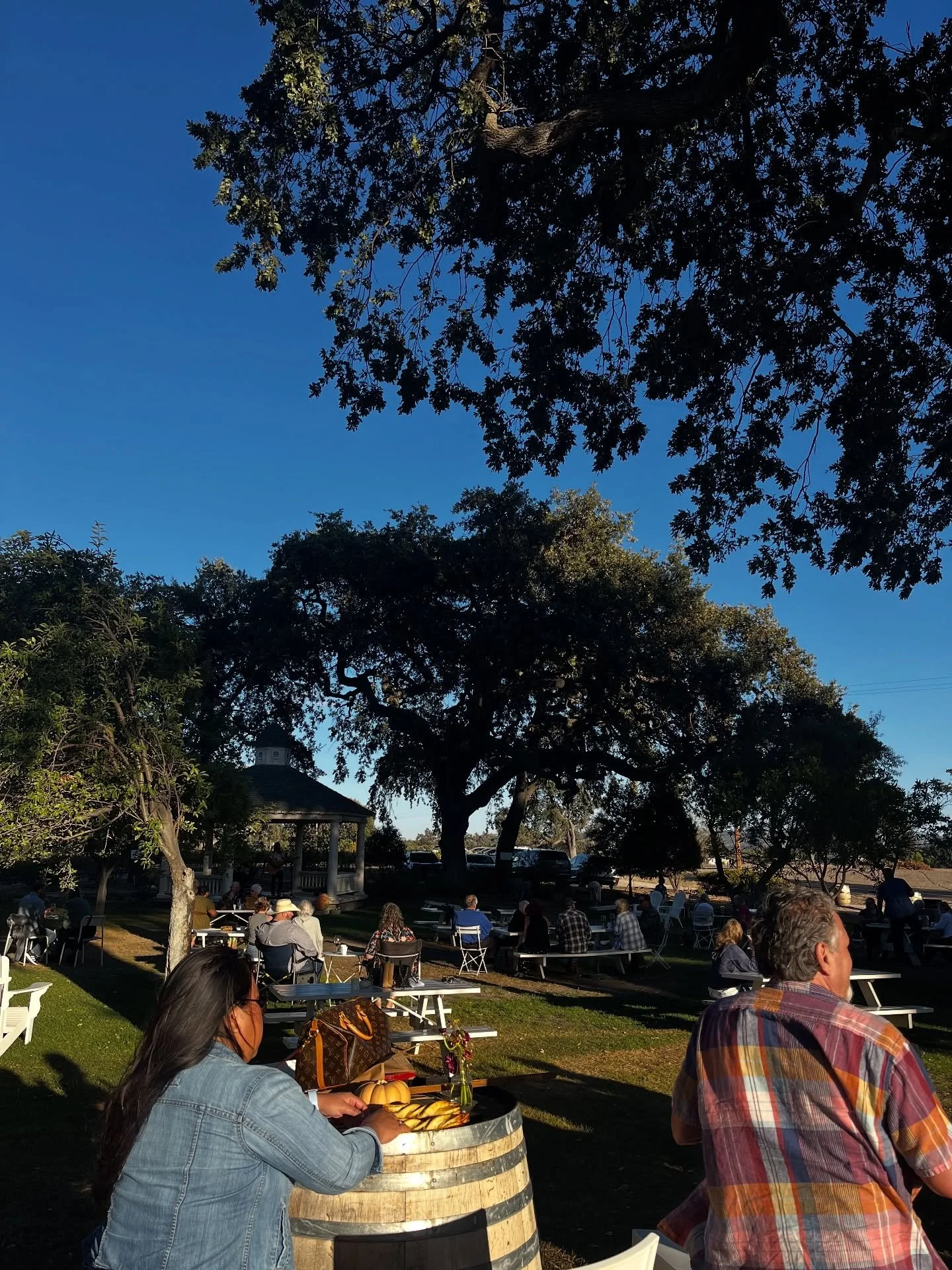 Thank you to everyone who came to our wine club pick up party this past Saturday! It was great to see all of your familiar faces and enjoy some great music and delicious pizza from Paso Pizza Kitchen! Events like this wouldn&rsquo;t be the same witho