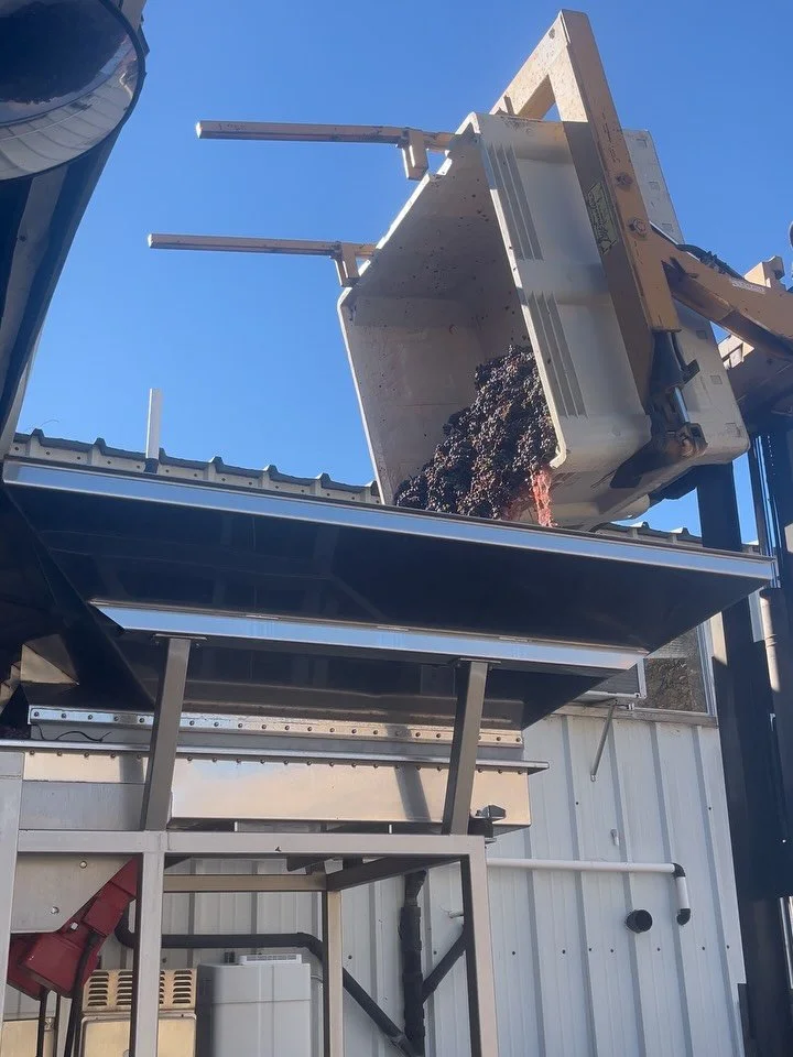 With this batch of Cab Franc sorted, we&rsquo;ve officially processed the last fruit for this harvest! 
In other news, a little story to brighten up your Tuesday afternoon: You never know where you will spot Peachy Canyon. Jake was in Flagstaff, Ariz