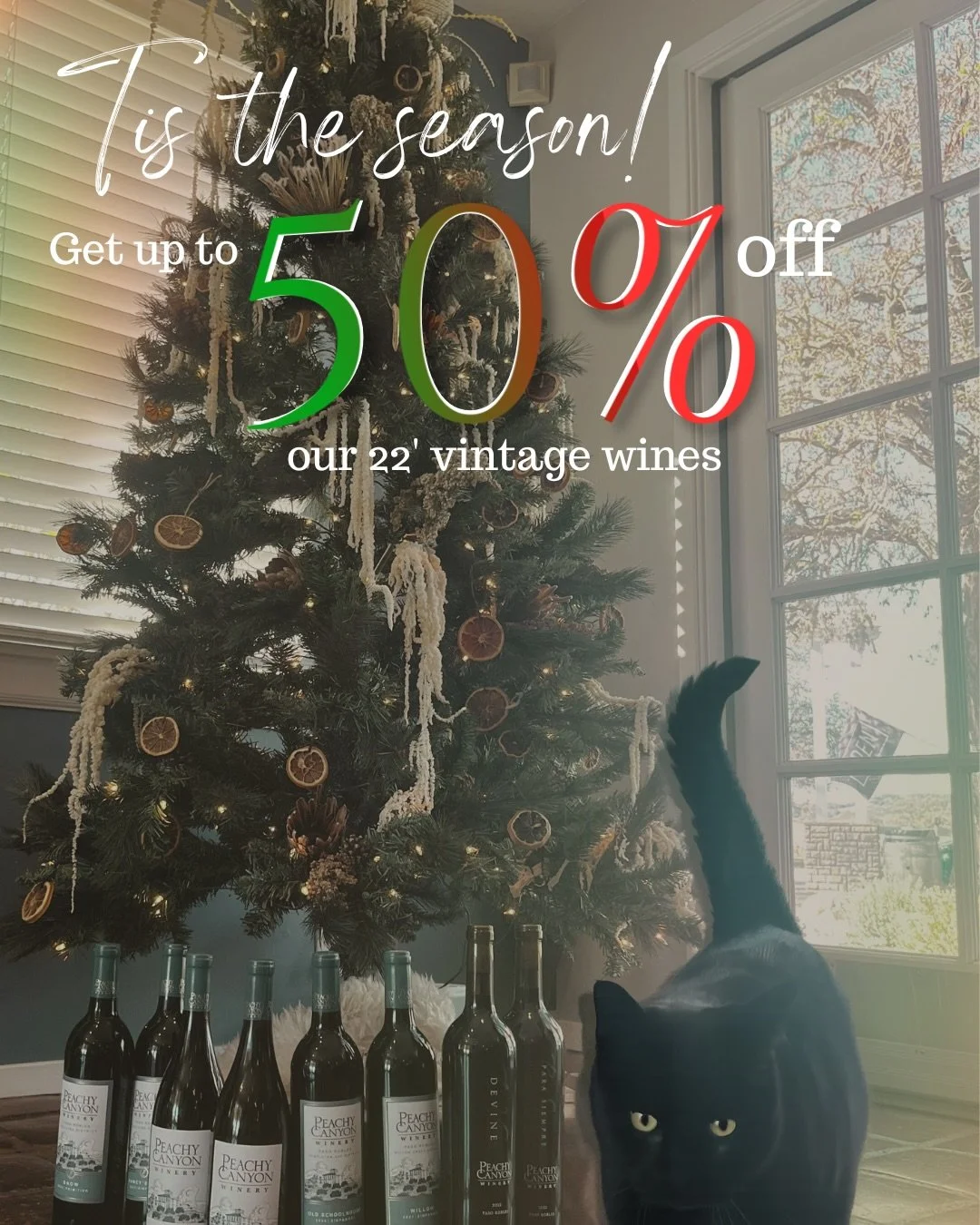 &ldquo;Twas the night before the holiday season, and all through the vines,
 our cellars were brimming with beautiful wines.&rdquo;
Happy Holidays from Peachy Canyon.
 When you order 6 or more bottles of our 2022 vintage wines, club members receive 5