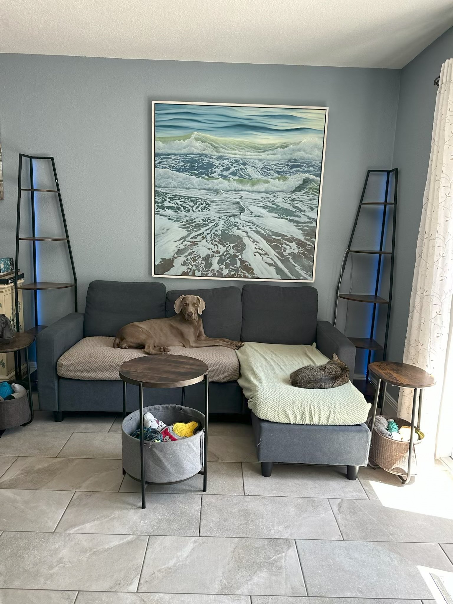 This Plant City, Florida home will enjoy this painting even more with a furry, four legged friend standing guard! 