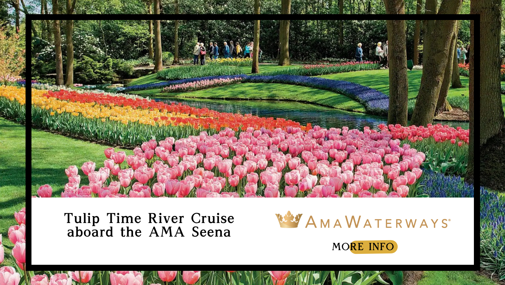 AMA Ama tulip.png