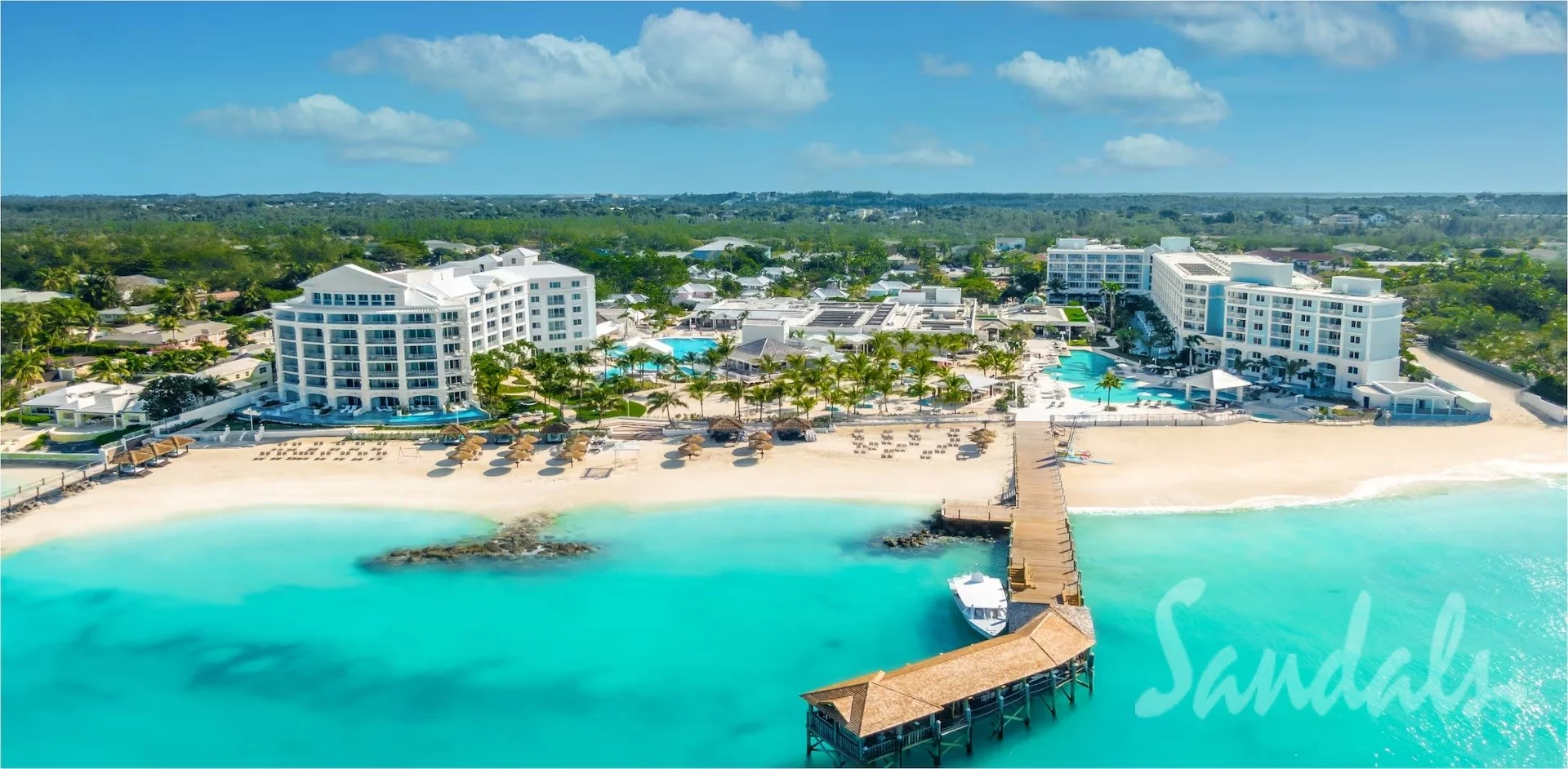 null-0 - Dianne Manto.jpg