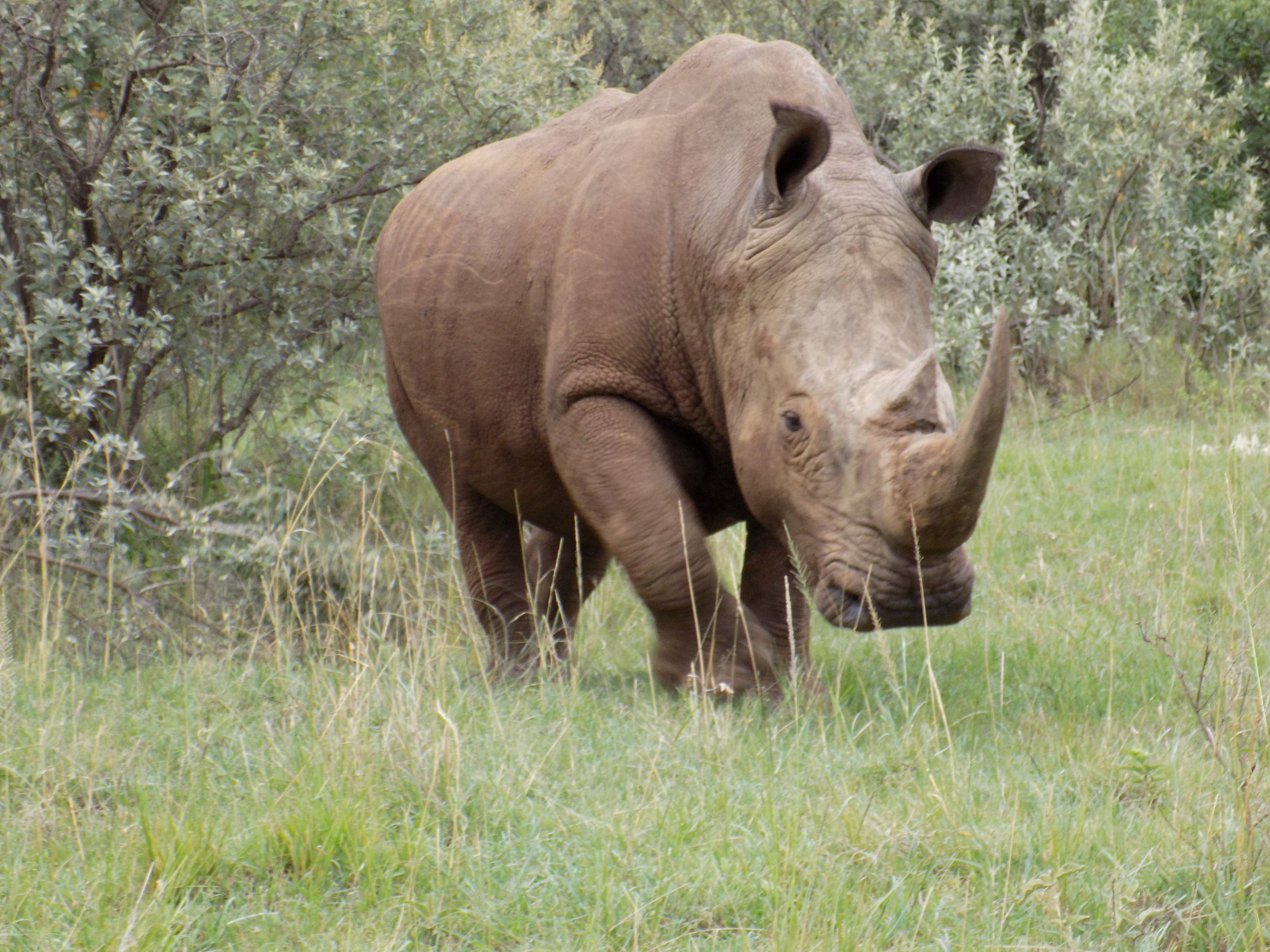 Micato Safari10.jpeg