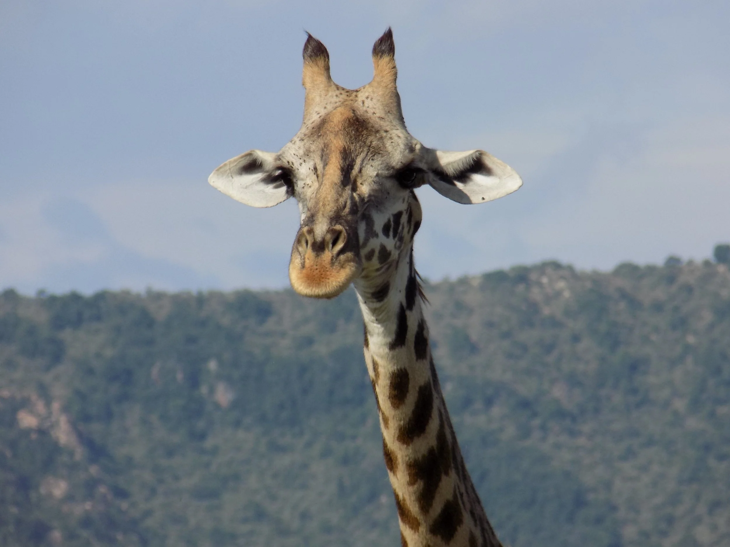 Micato Safari 1.jpeg