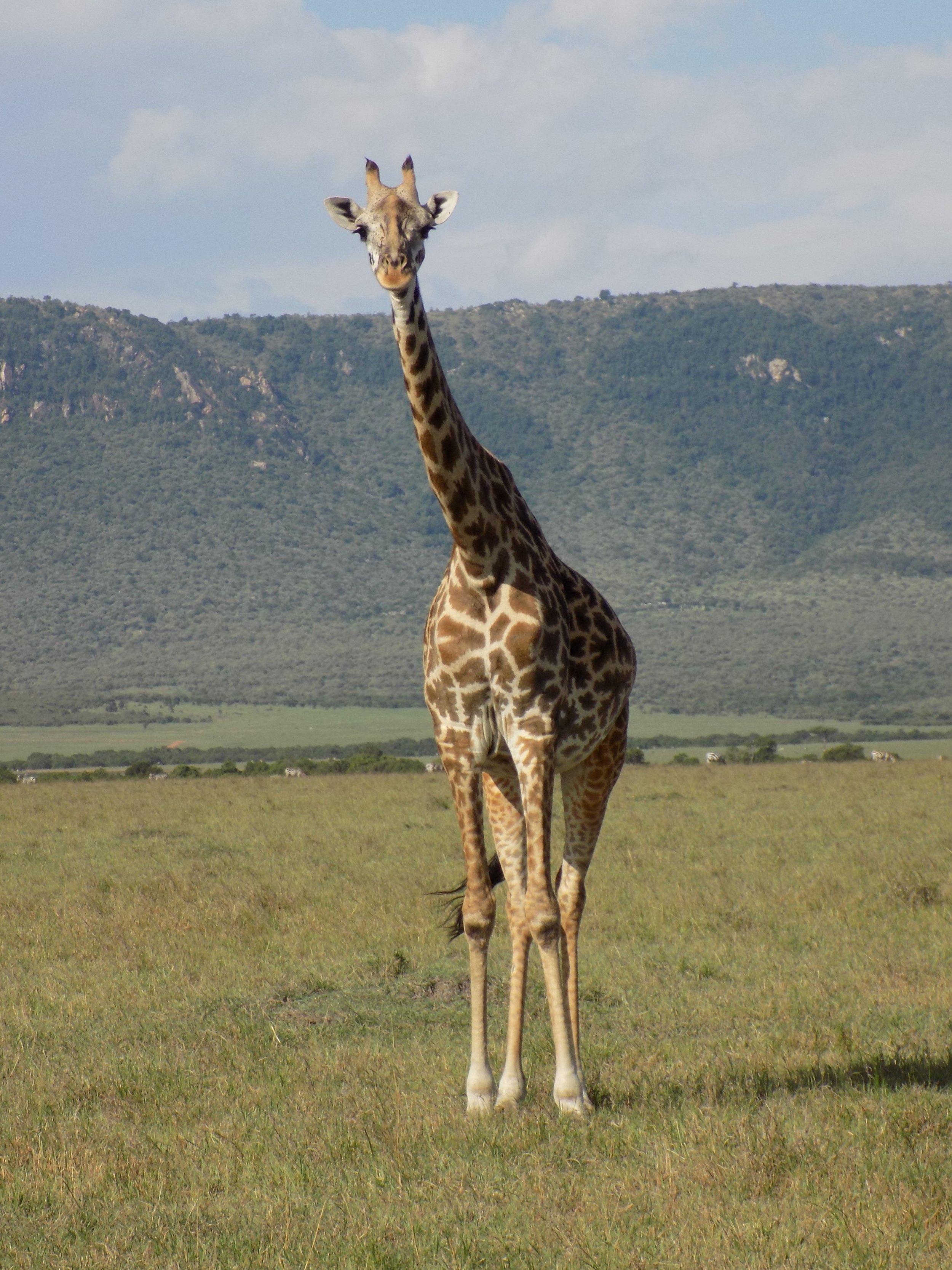 Micato Safari18.jpeg