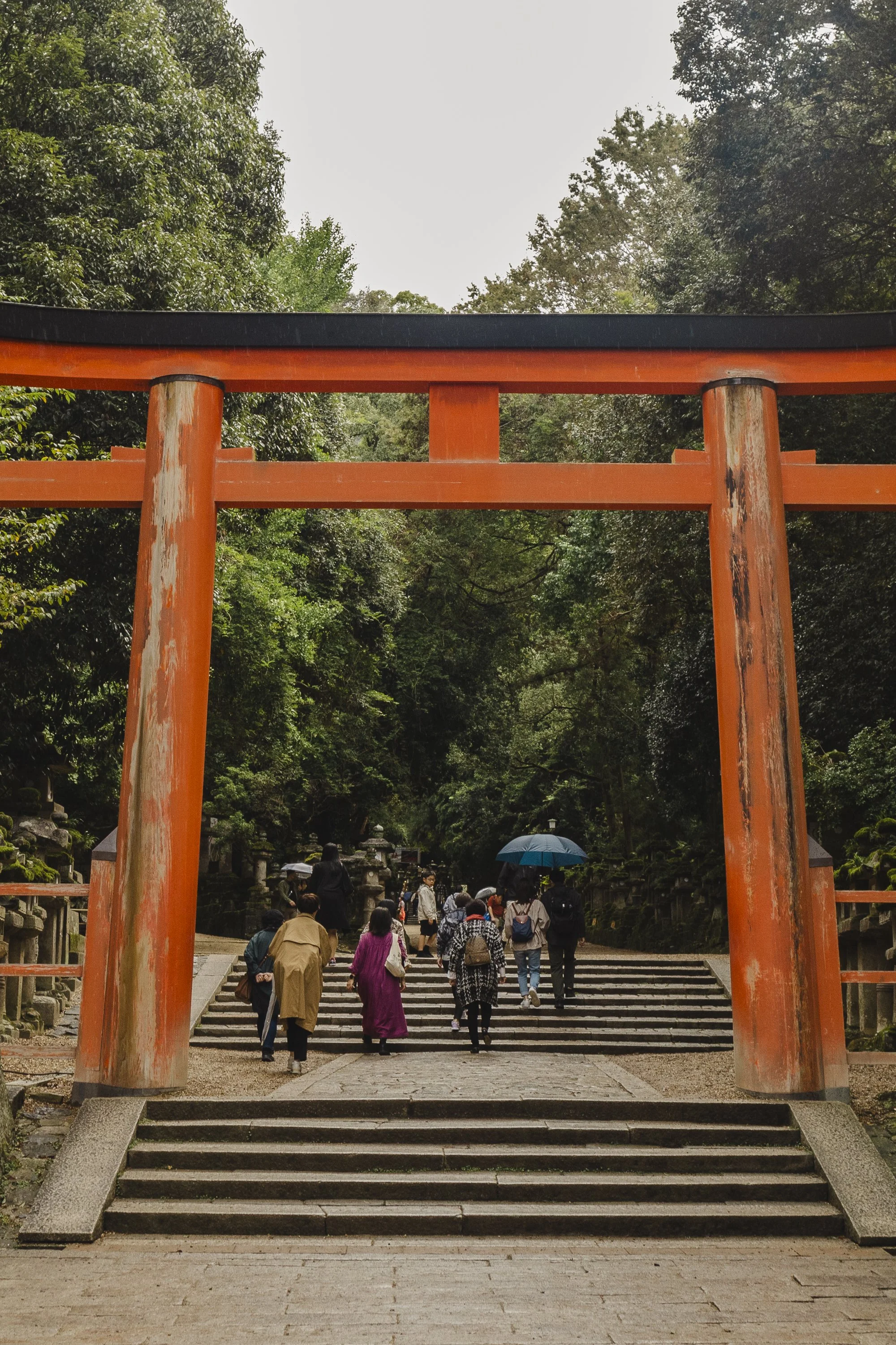 Life In Japan — Tesa's Photo