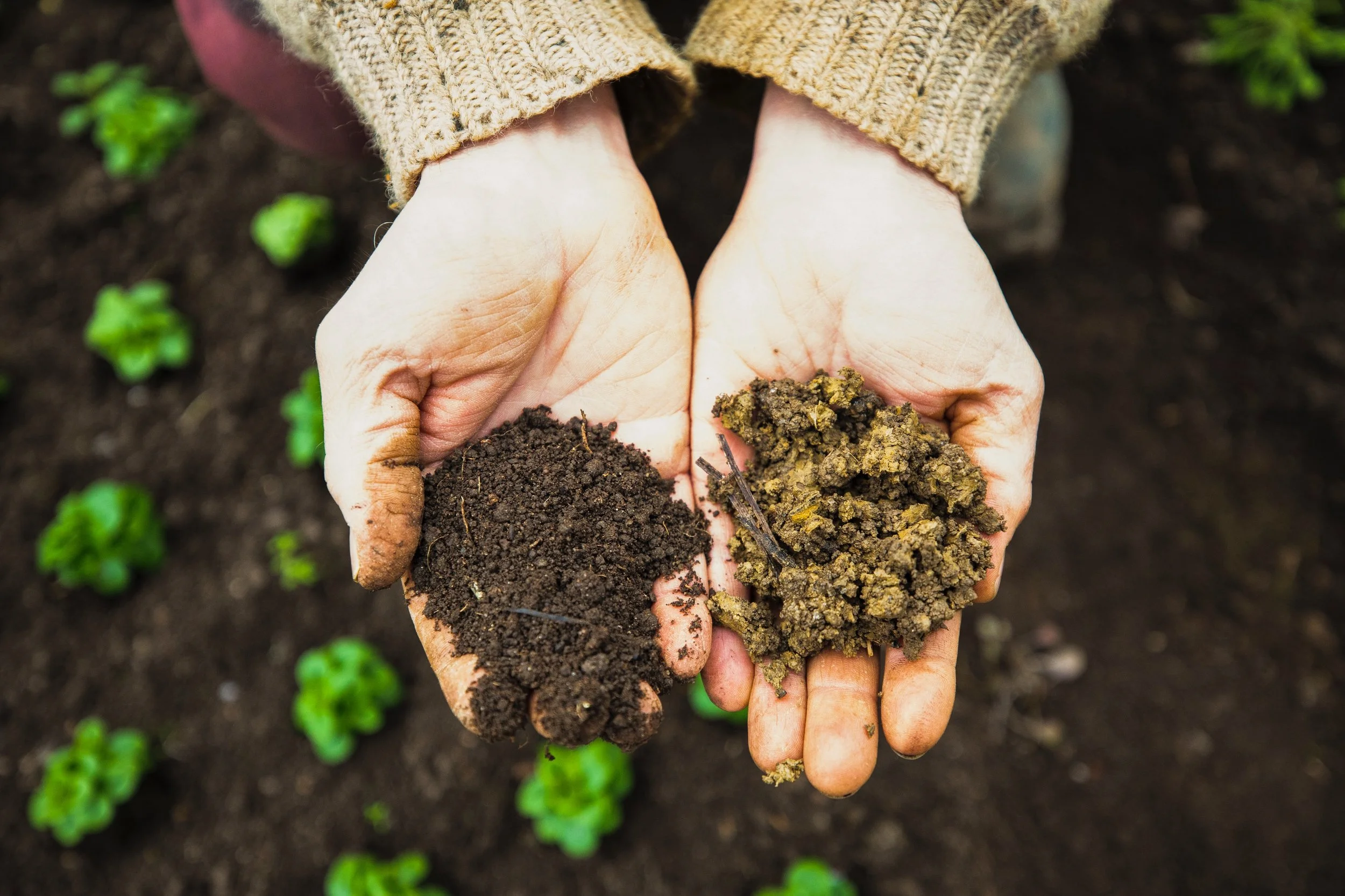 Saving the Human Race begins with Regenerative Farming.