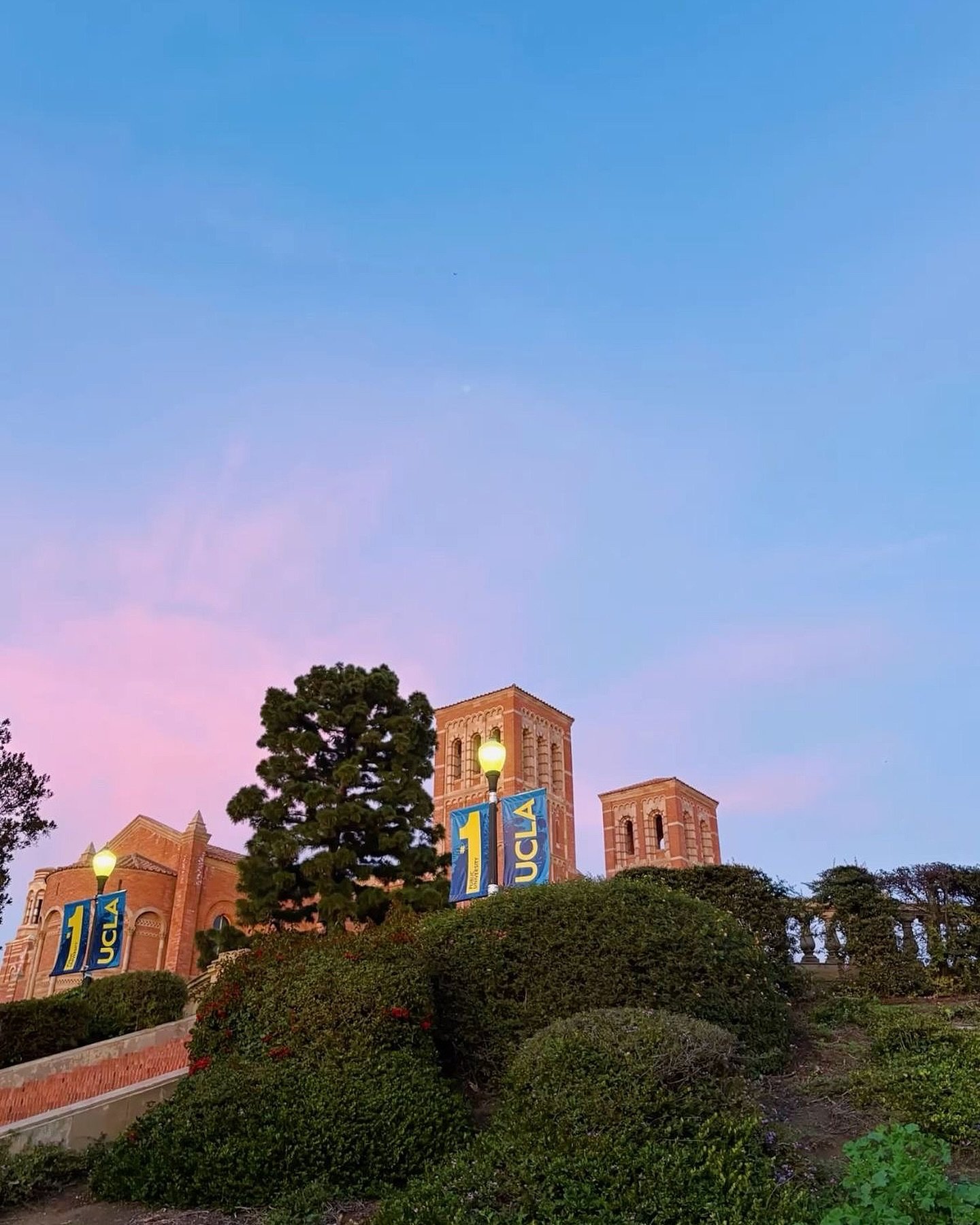 #1 most Instagrammable campus btw 📸 

#ucla #uclalifestyle #ucladorms #uclacampus #college #collegelife #collegefashion #aesthetic