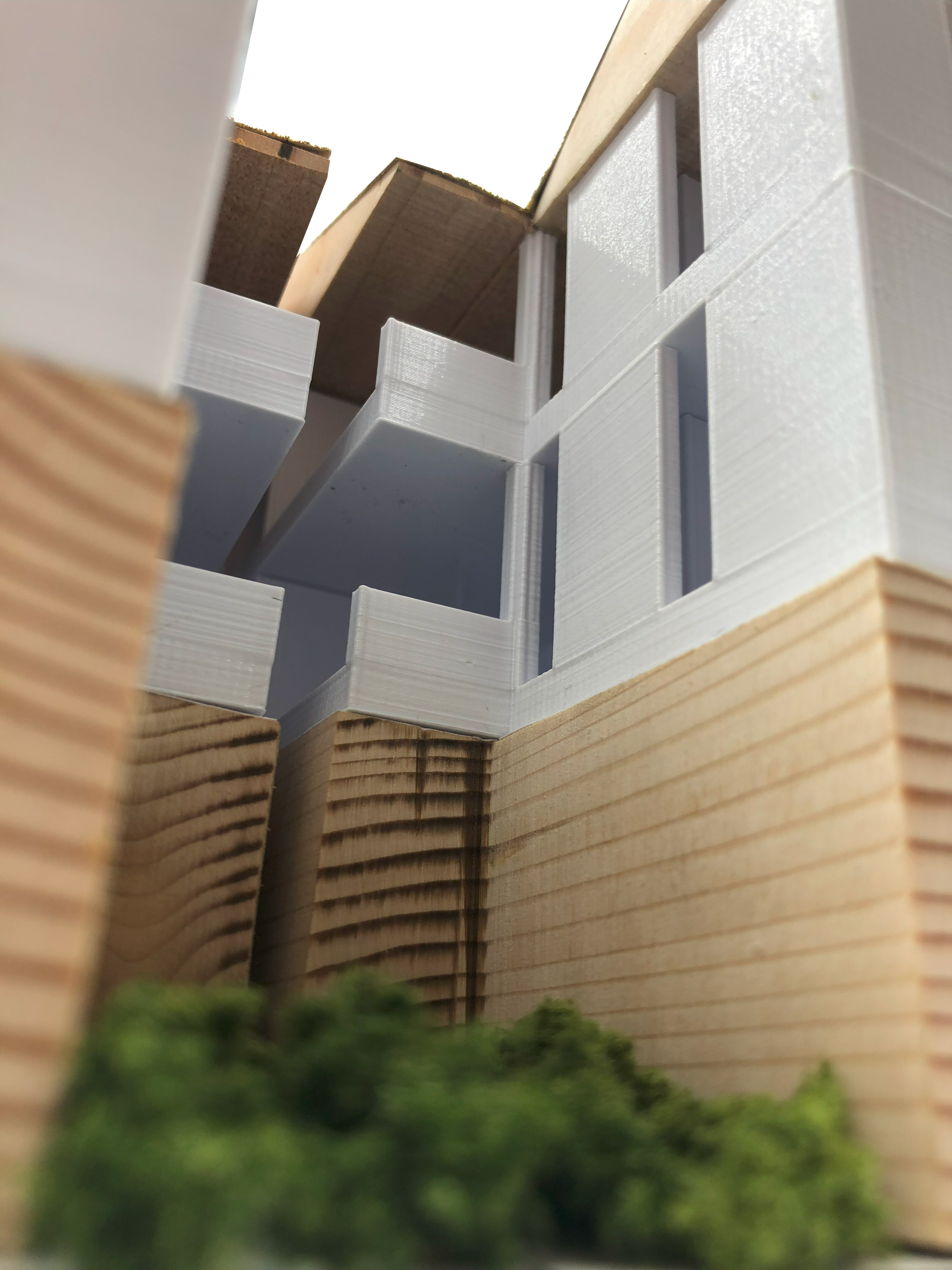 IMG_3178.png