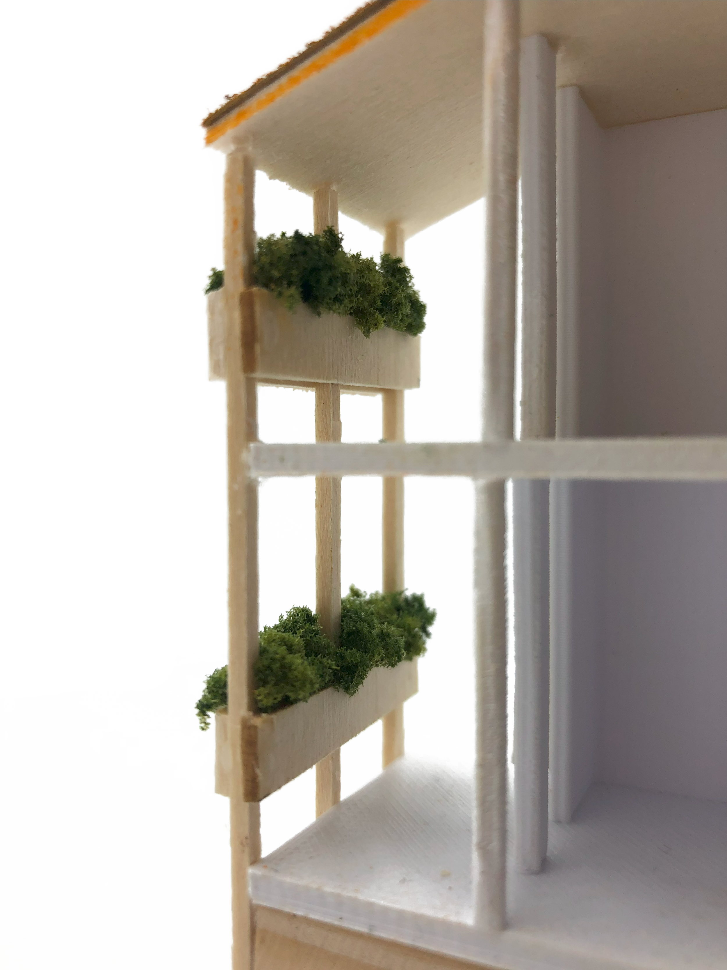 IMG_3186.png