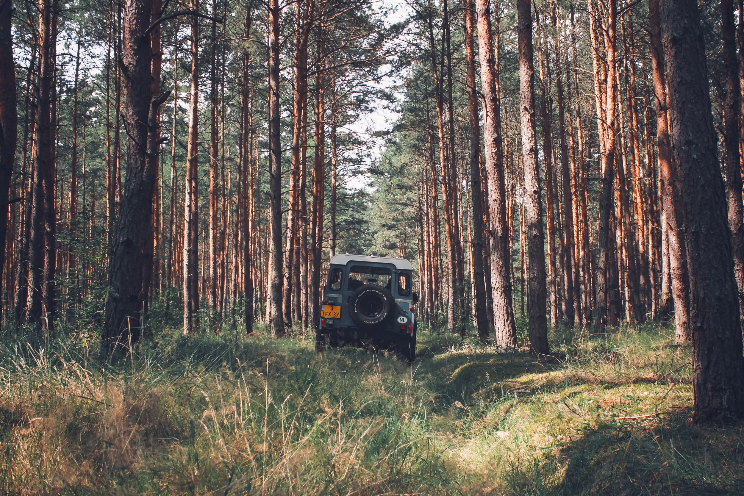 unsplash-image-KRB-KhzJr7M.jpg