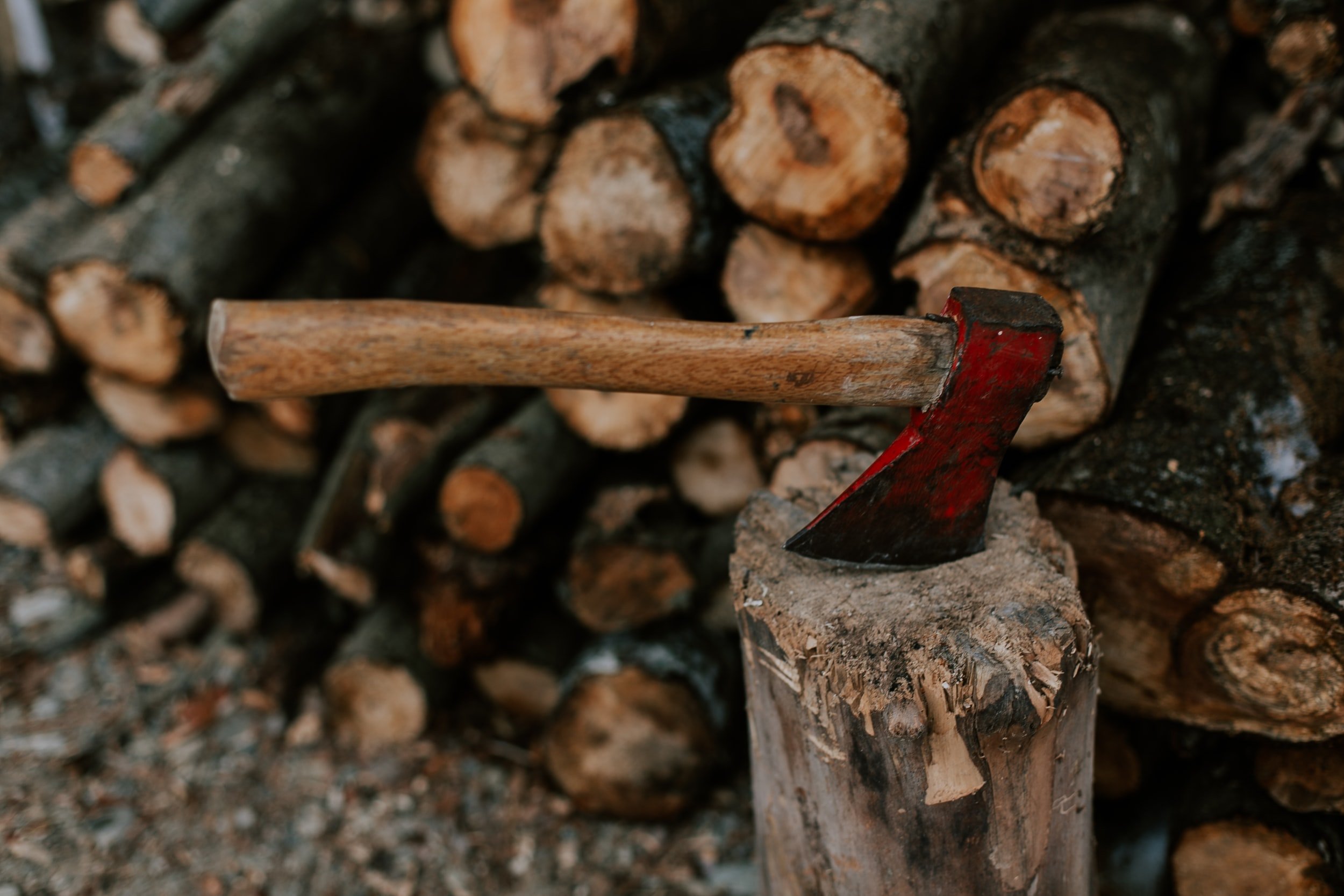 unsplash-image-lDxD39XF__I.jpg