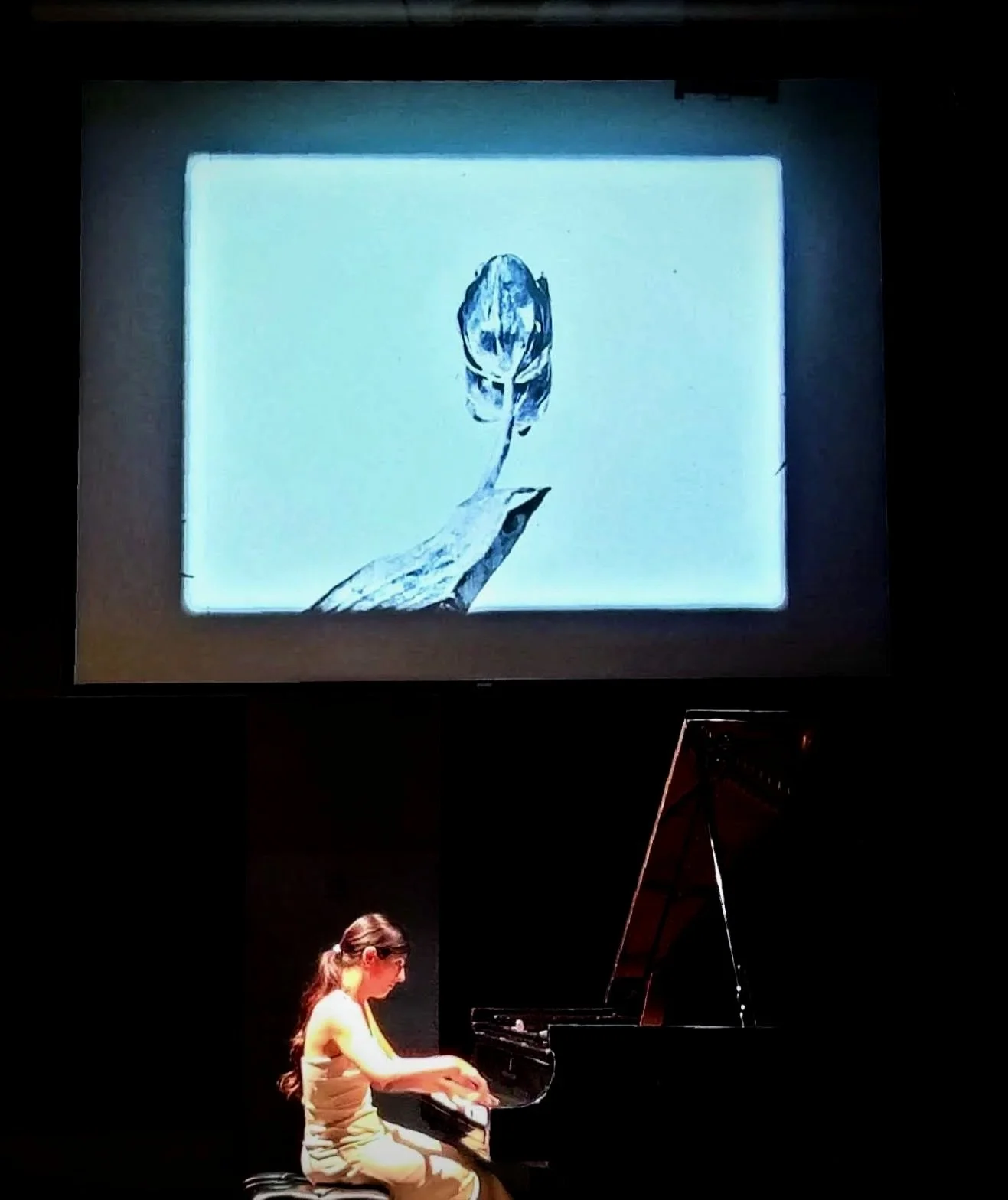 Nicole+Brancato+plays+Harmony+of+the+Spheres+piano+concert+1.jpg