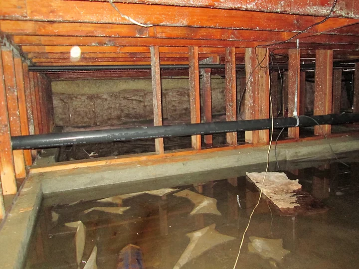 How to Fight Mold in a Flooded House — Taylored Restoration