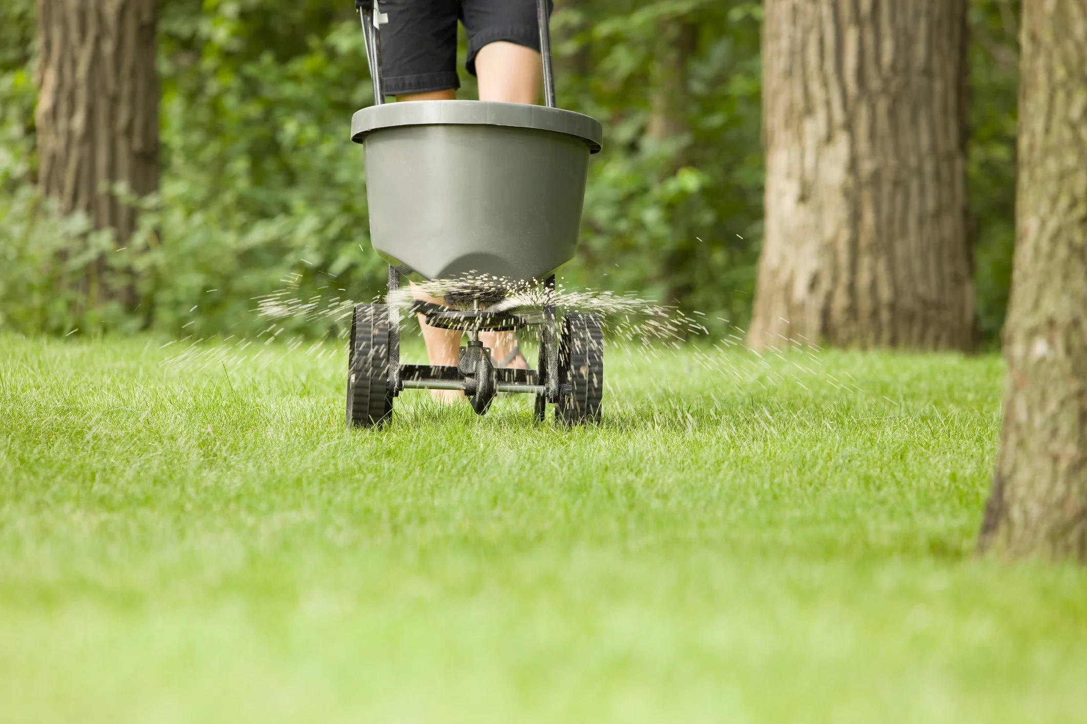 Fertilization in Arvada and Westminster