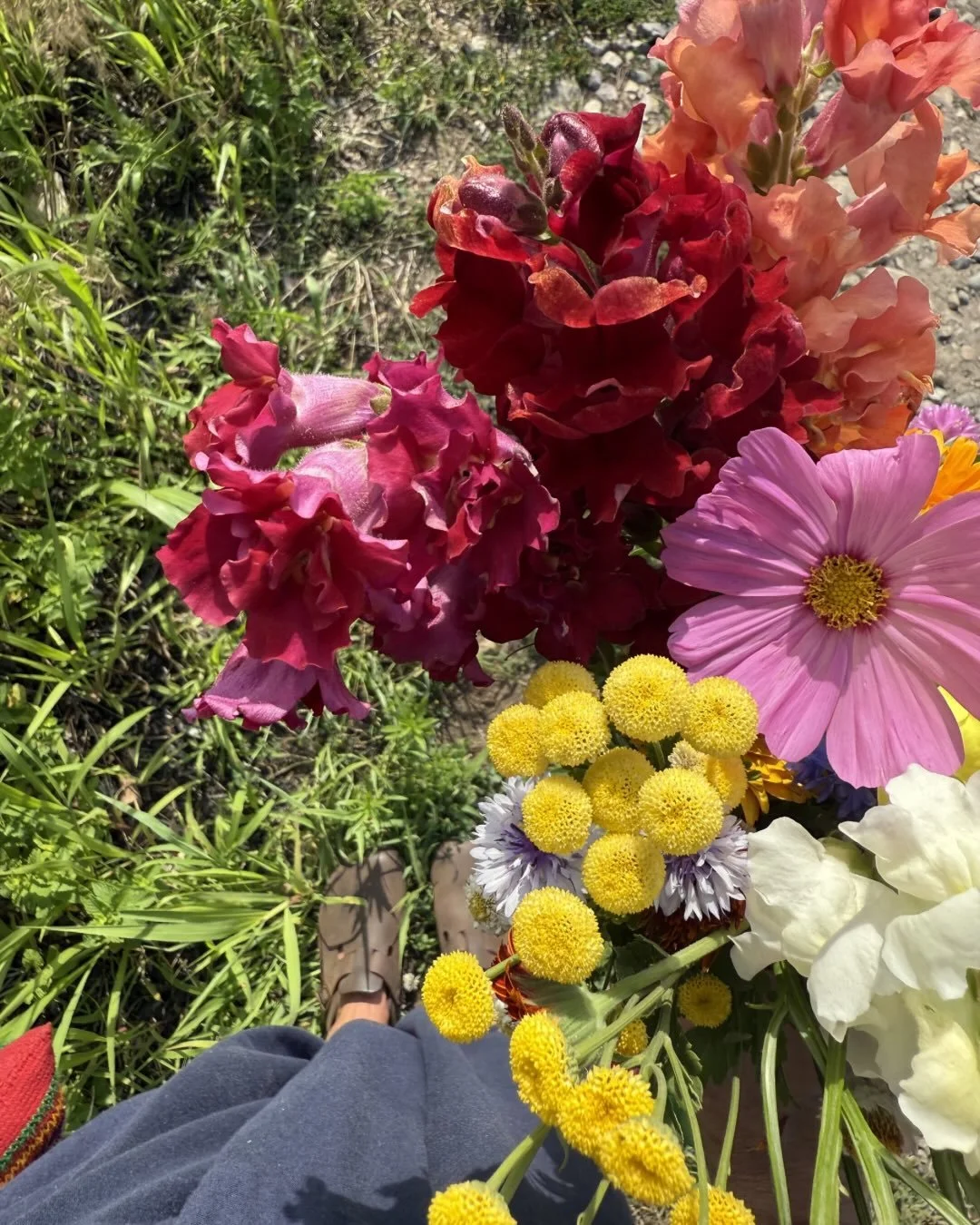 🌸🪻🌼
New month.
Open skies.
Wild blooms.

Welcome June. 
We&rsquo;ve been awaiting your return. xo