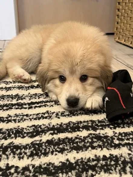 Meet Keely