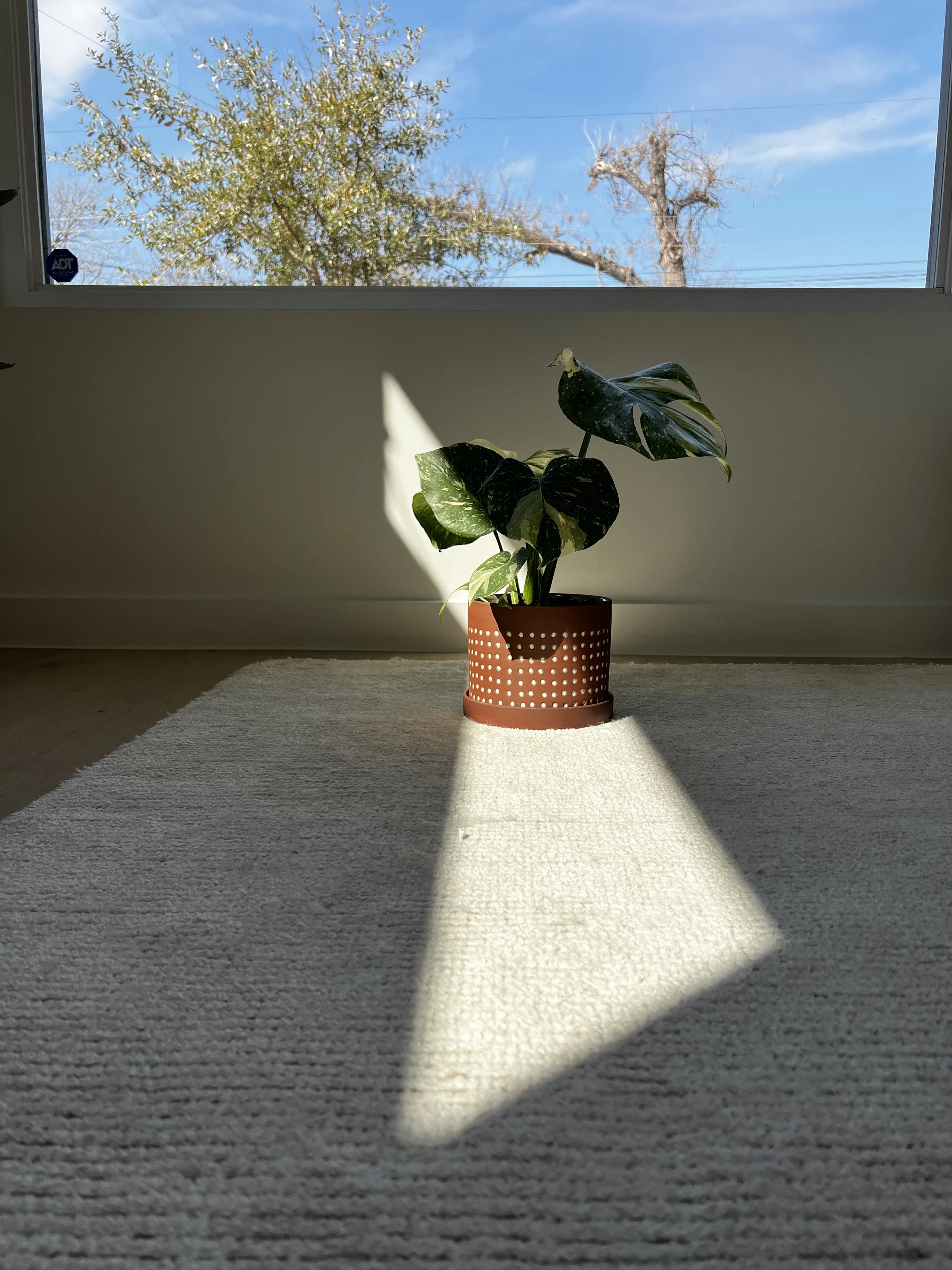 What the Olympics Taught Me About Devotion