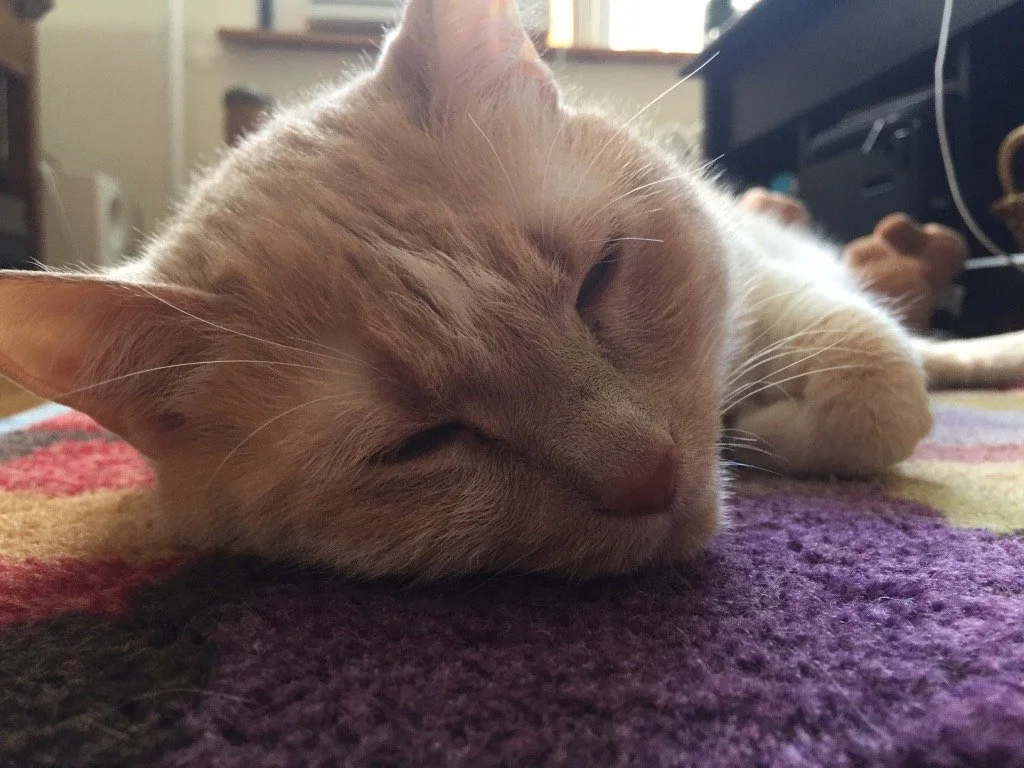 Ambient Music for Sleep: What Actually Helps (and Why)