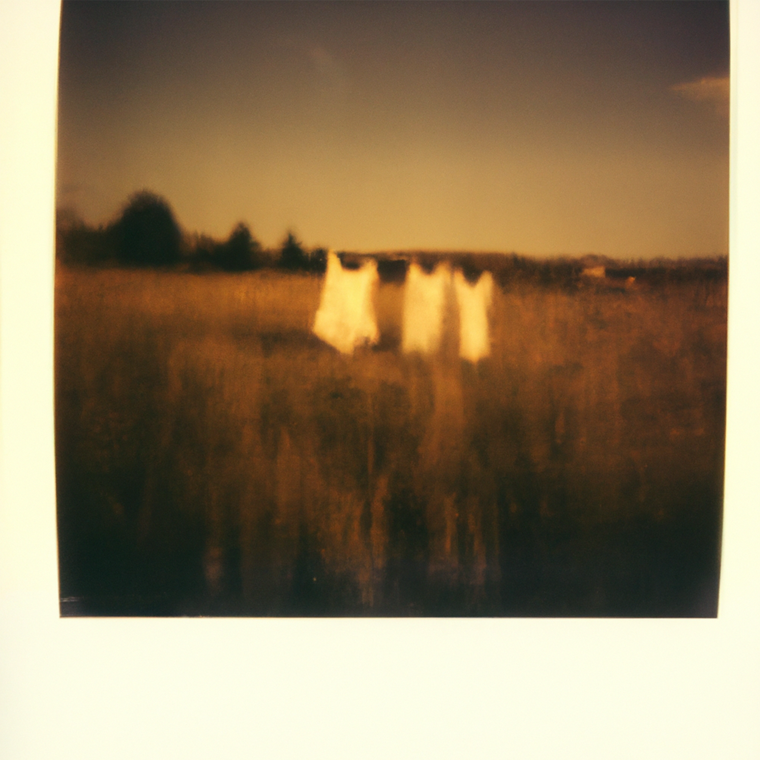 Music for Anxiety: How Sound Can Quiet a Nervous System That Won't Stop