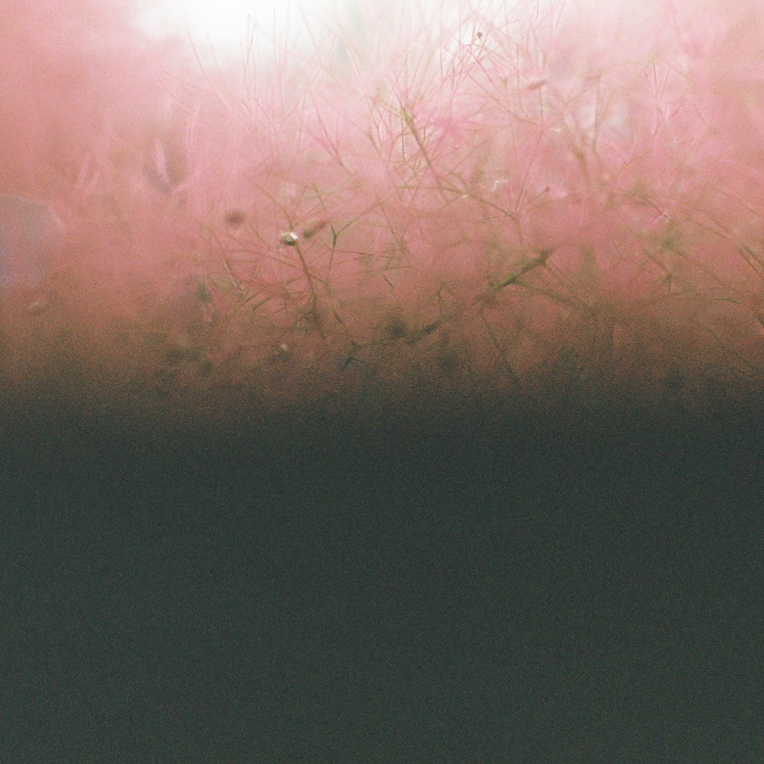 Soft Euphoria (Foam + Sand, Robot Koch)