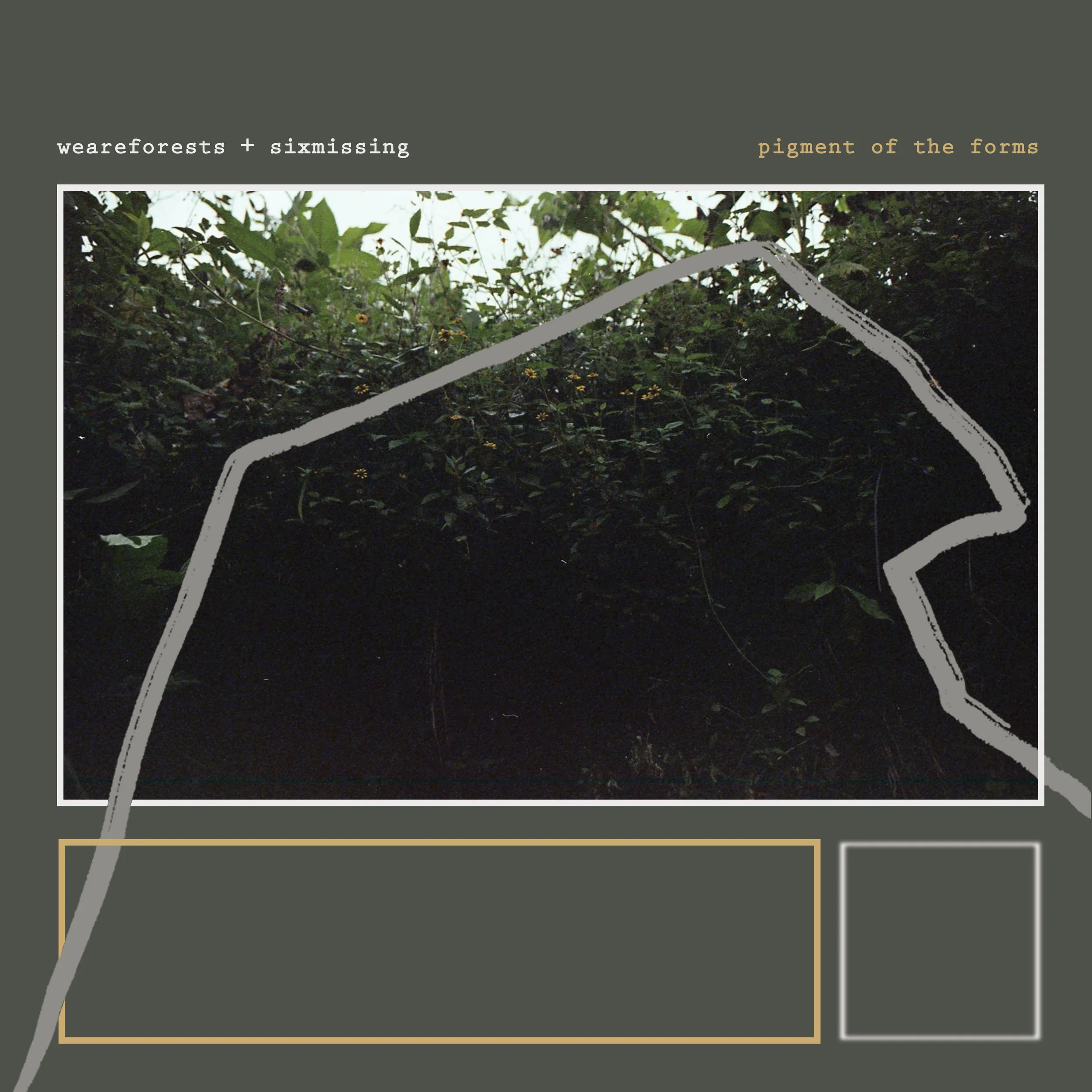 Pigment of the Forms