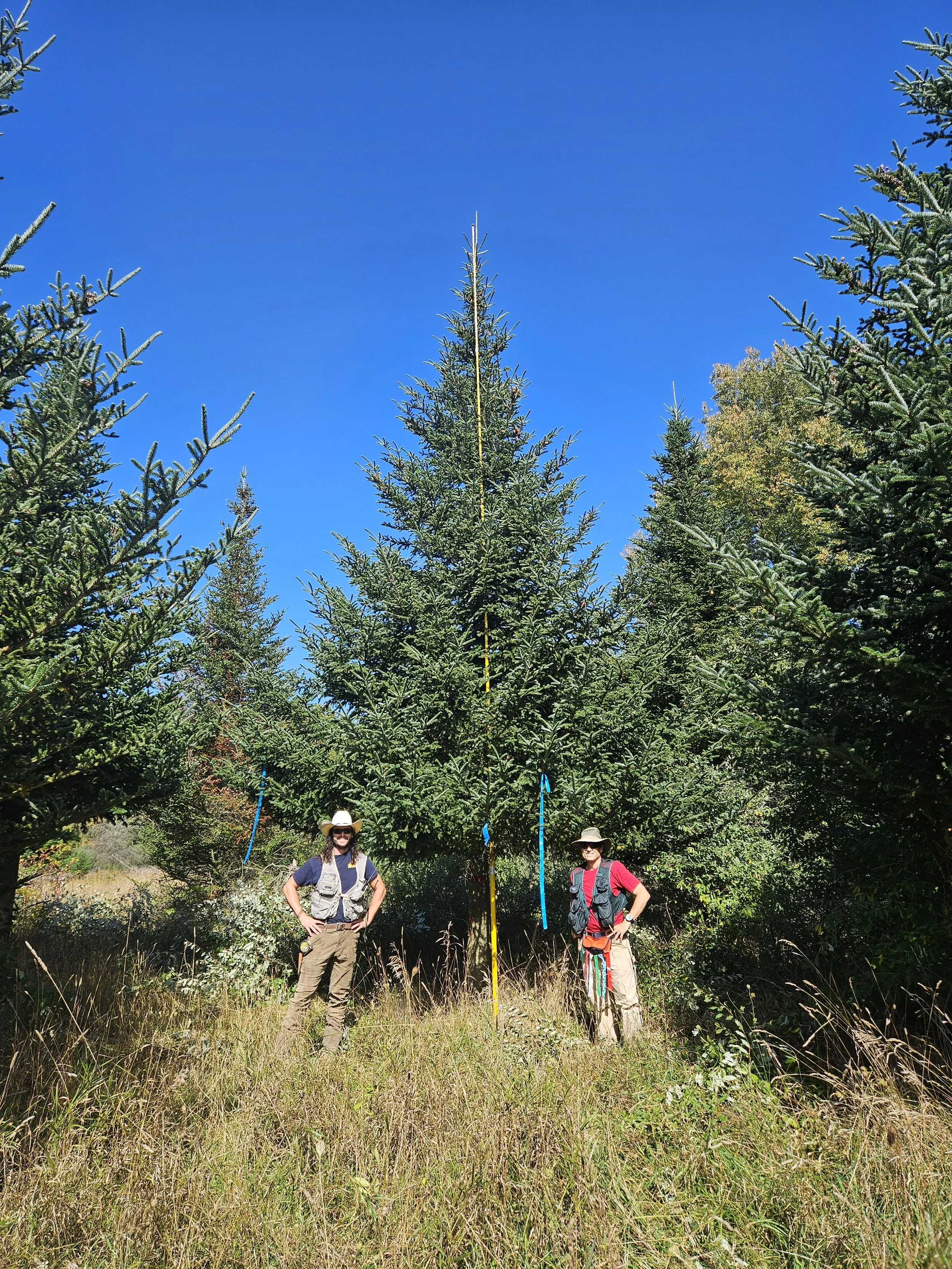 2025 Cook Park BIG TREE selected.jpg