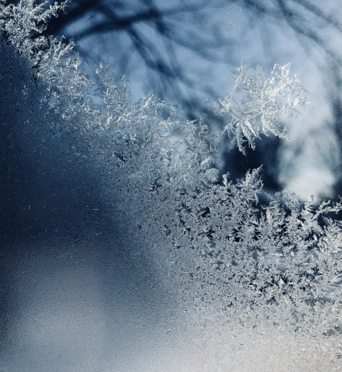 What the Recent Freeze Means for Your Lawn (And What To Do Next)