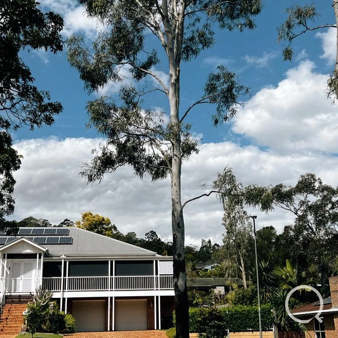 Meet The Gap - 

Surrounded by lush bushland but still only a 15-minute drive to Brisbane CBD, locals at The Gap truly enjoy the best of both worlds. 

The Gap is a large sprawling green suburb with plenty of parks, playgrounds, bike tracks and clear