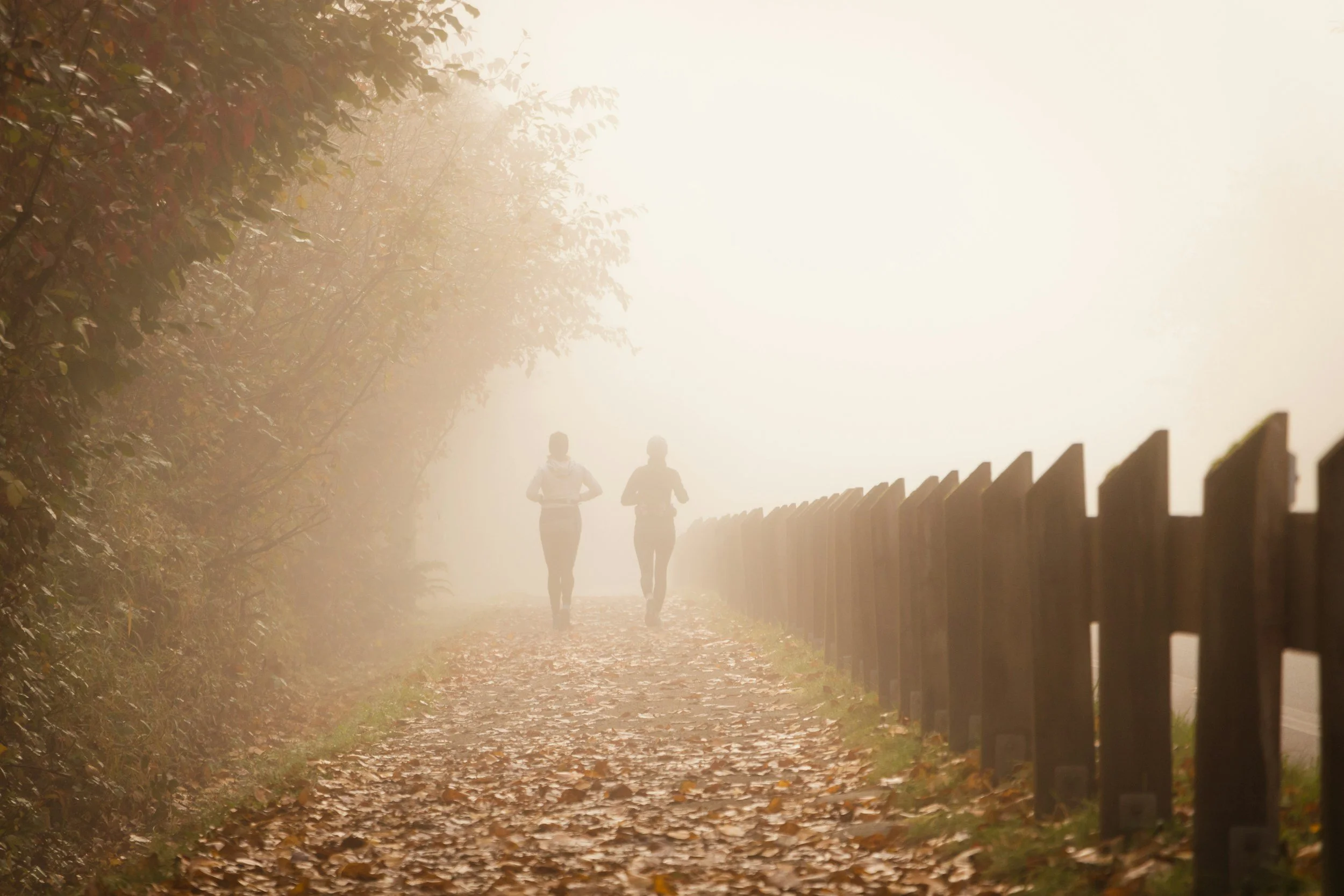 couple jogging on a fall day