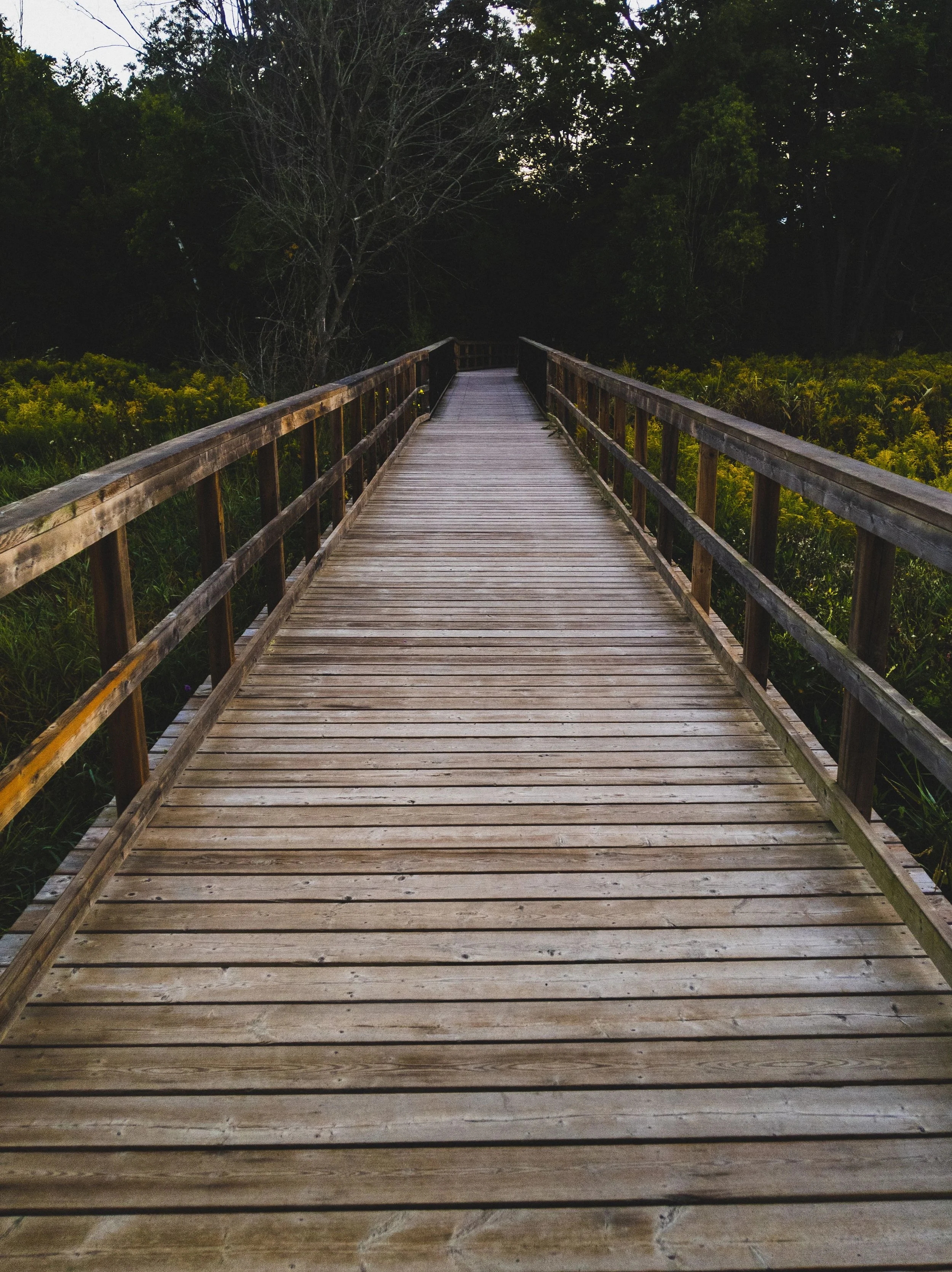 Why Do We Feel Disconnected When Nothing Is Really Wrong?