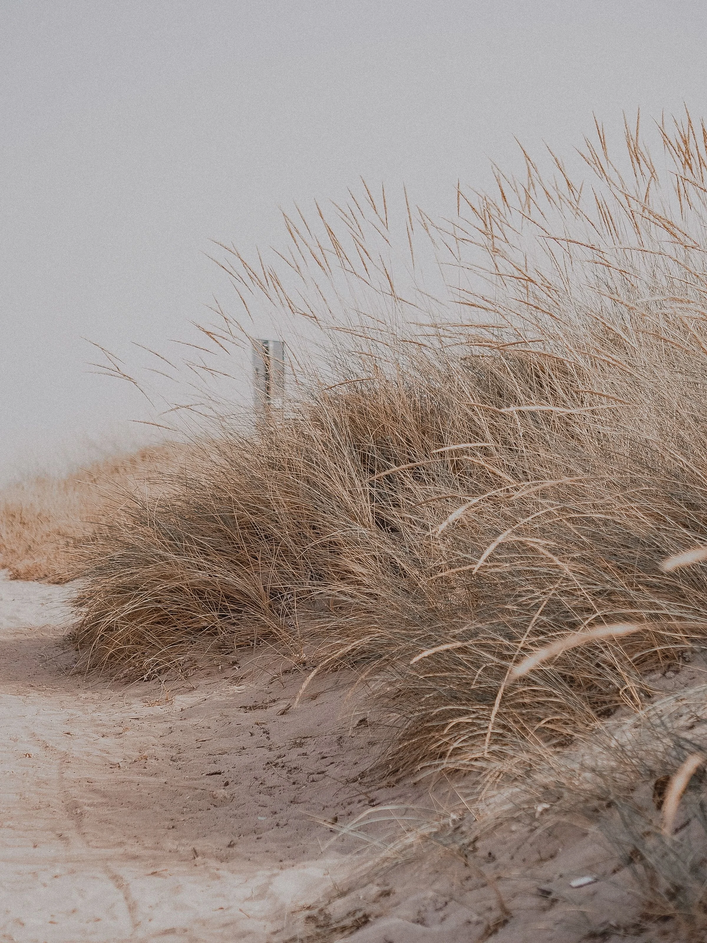 Why Do I React So Strongly? How Trauma Can Affect Your Nervous System