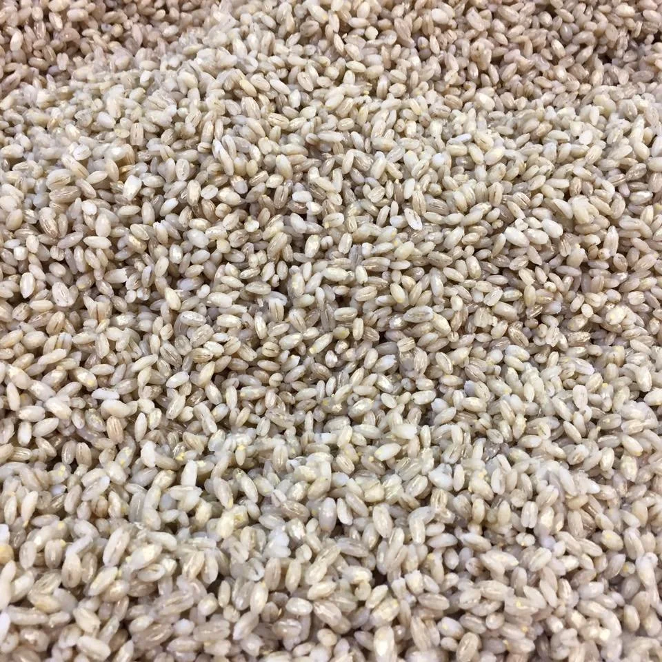 My first job of the year